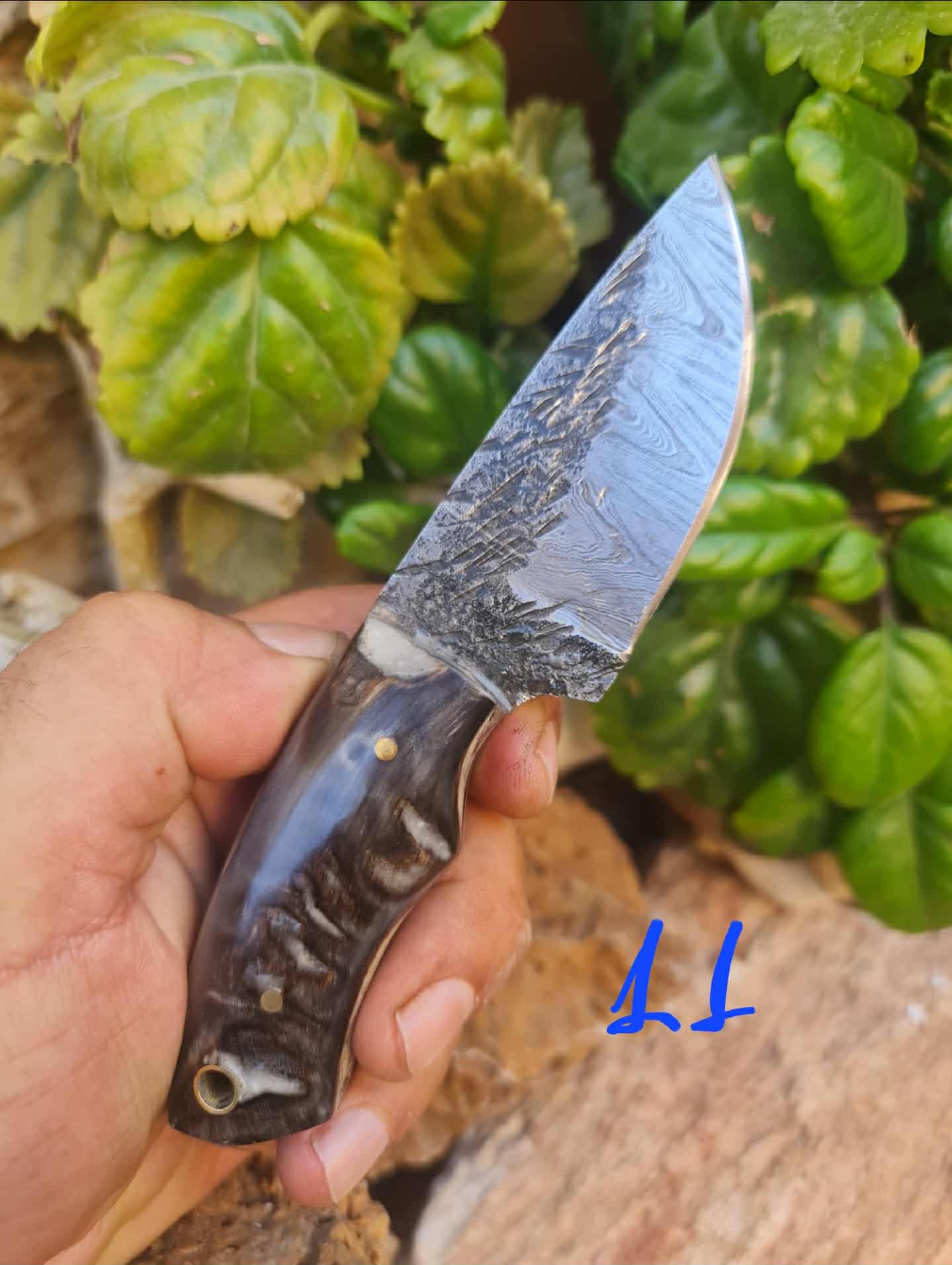 Handmade 15cm Mini Skinner Knife with Damascus Steel & Ram Horn