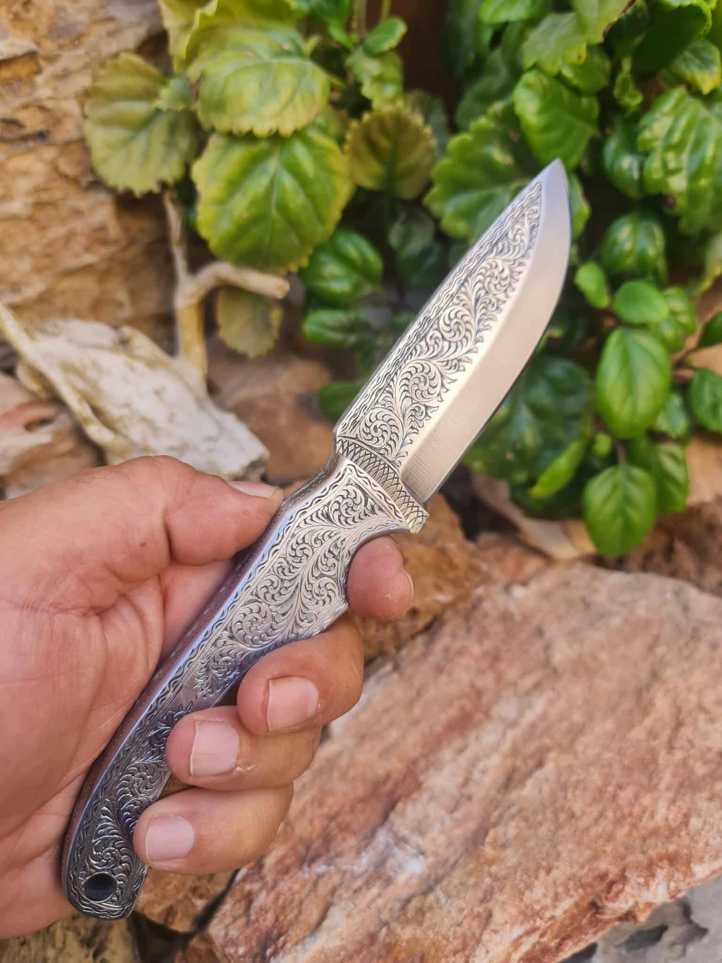Handmade 23cm Exclusive Hunting Knife with Stainless Steel with Master Hand-Engraved & Exotic Hardwood