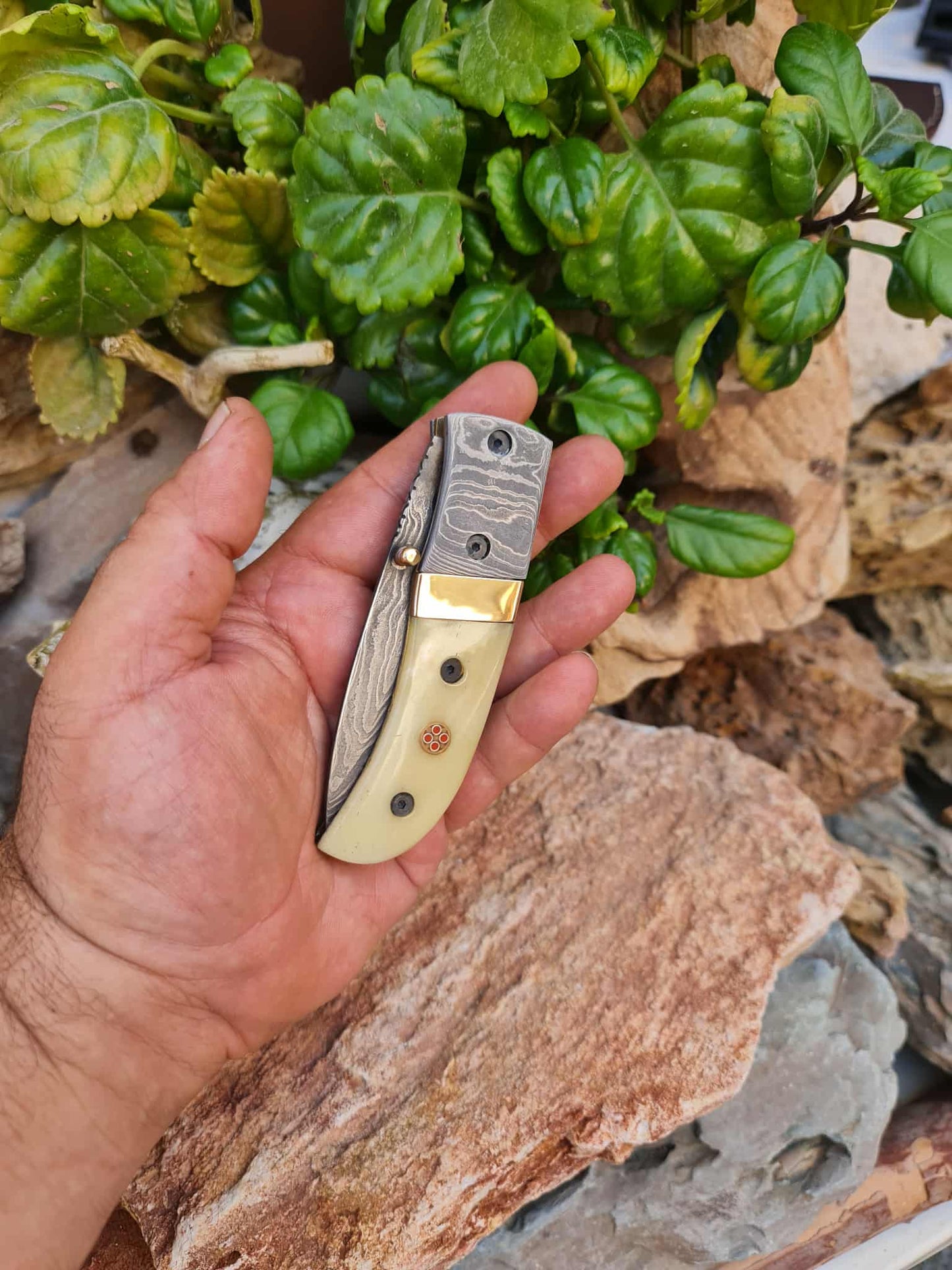 Handmade Classic Elegance – 20cm Folding Knife with Damascus Steel - Camel Bone & Brass