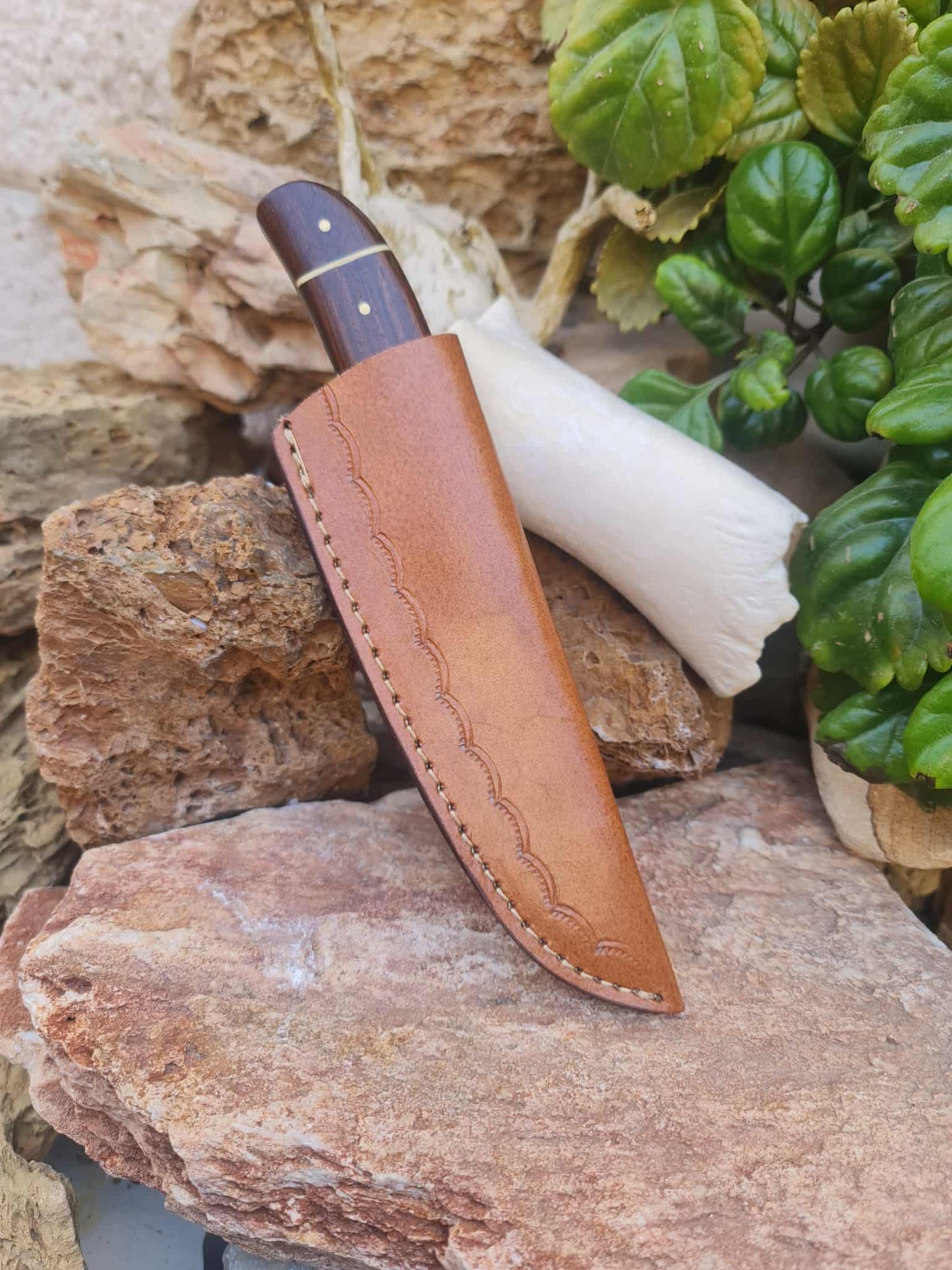 Handmade 21cm Gut hook Knife with Damascus Steel - Walnut wood & D2 Stainless Steel