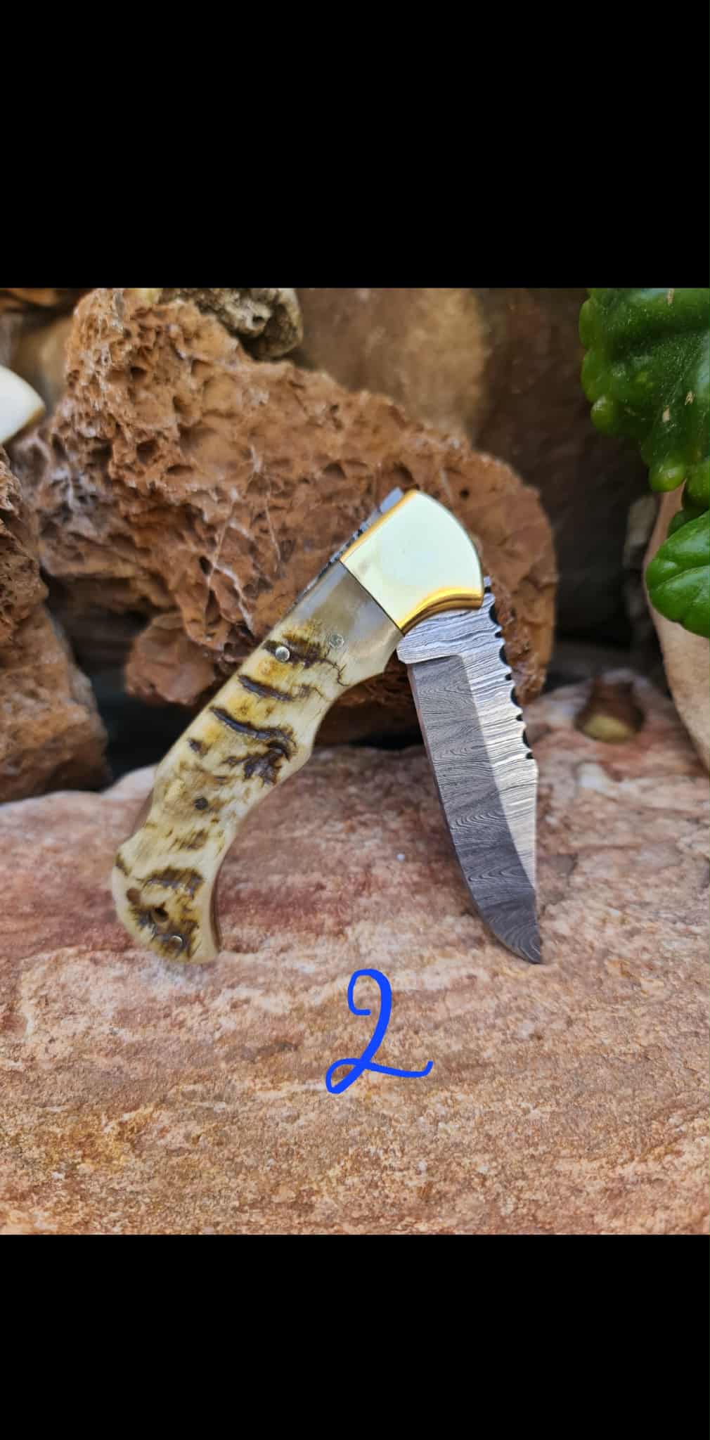 Handmade 17cm Pocket Knife with Damascus Steel - Ram Horn & Brass
