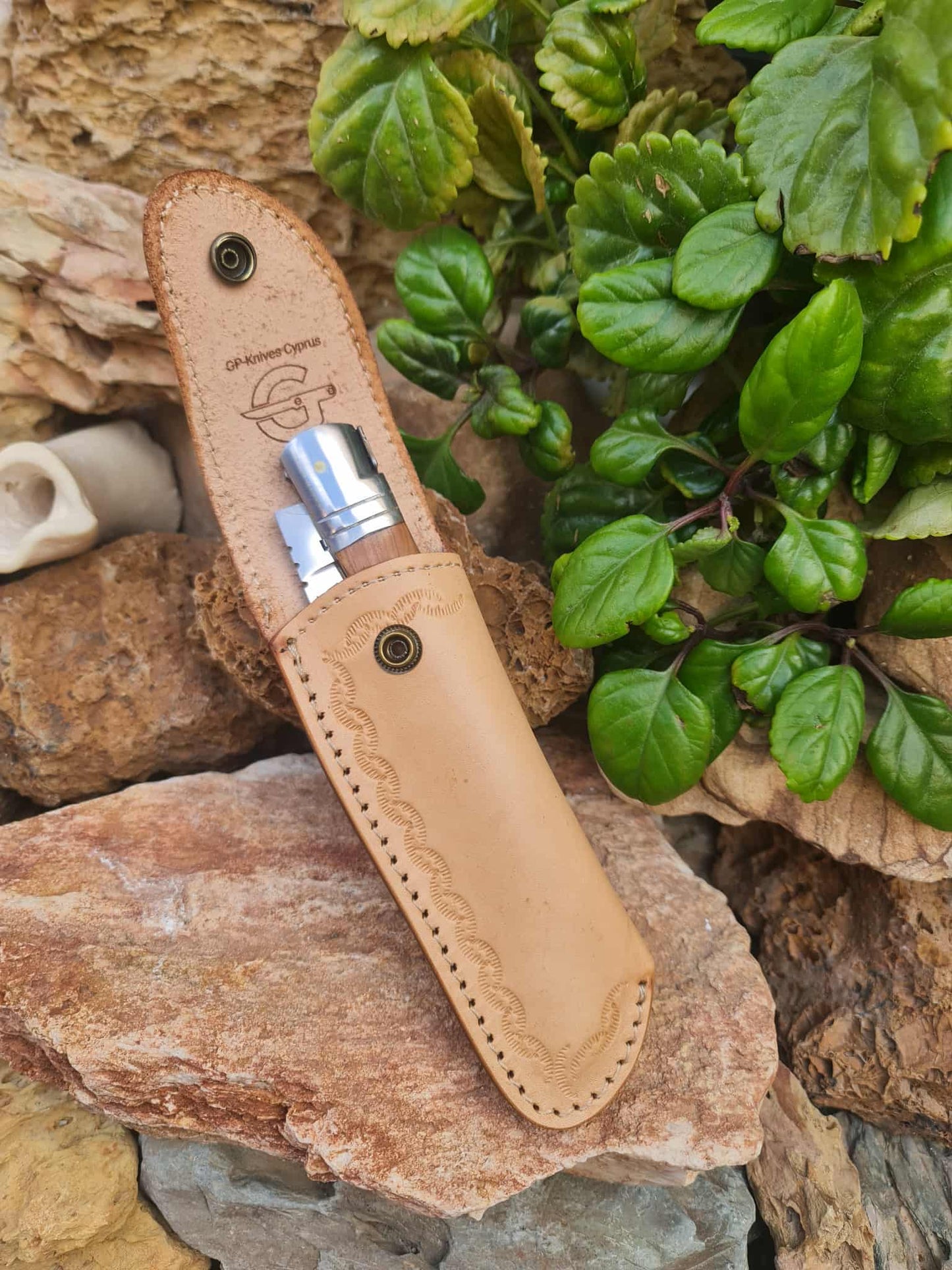 Handmade 32cm Laguiole Bougna with 1421 carbon steel - Olivewood & D2 stainless steel