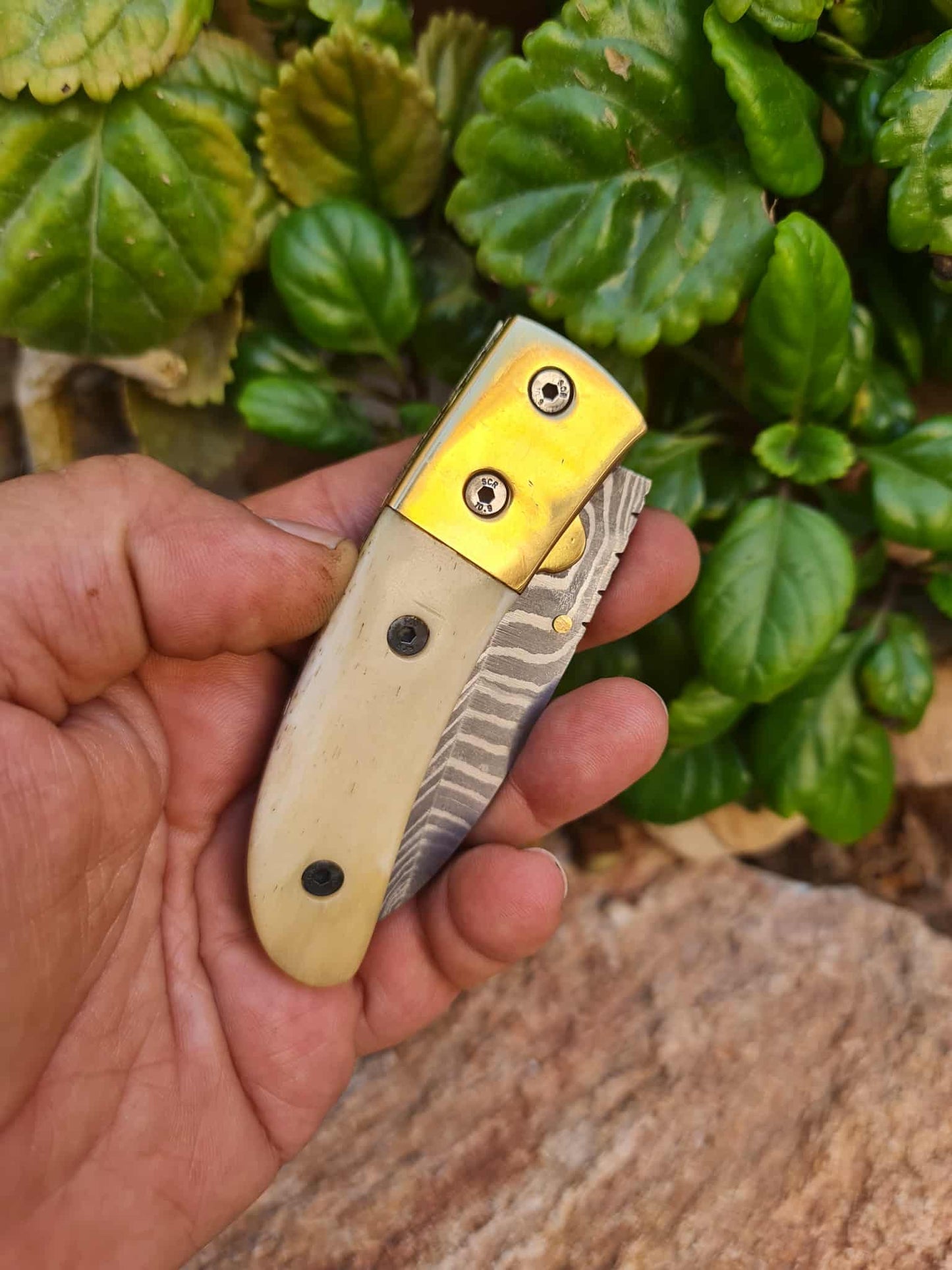 Handmade Classic Elegance – 18cm Folding Knife with Damascus Steel - Camel bone & Brass