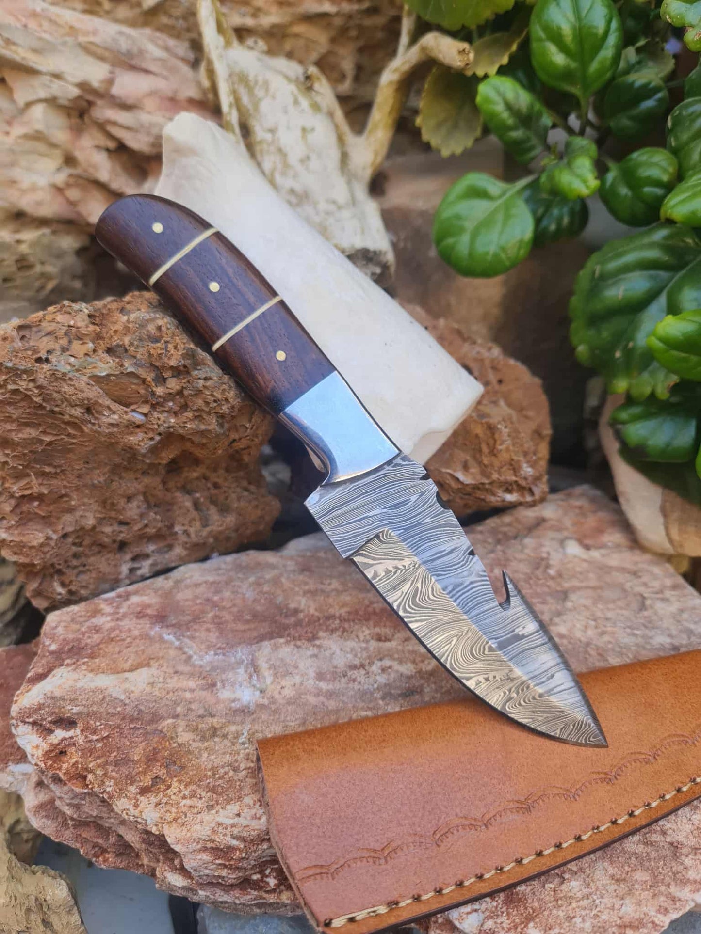 Handmade 21cm Gut hook Knife with Damascus Steel - Walnut wood & D2 Stainless Steel
