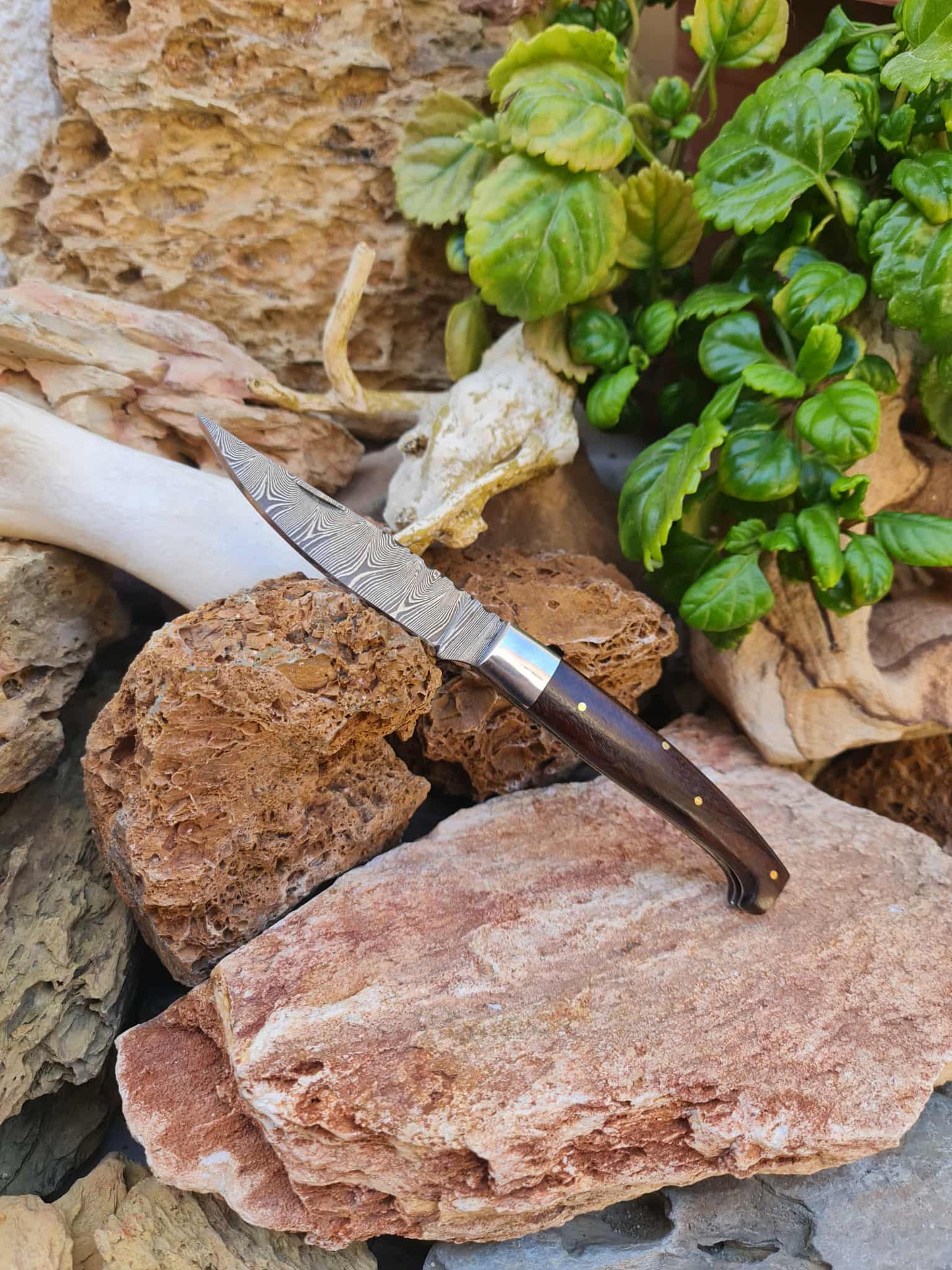 Handmade Resolza Pattadese – 23cm Italian Style Folding Knife with Damascus Steel & Walnut Wood