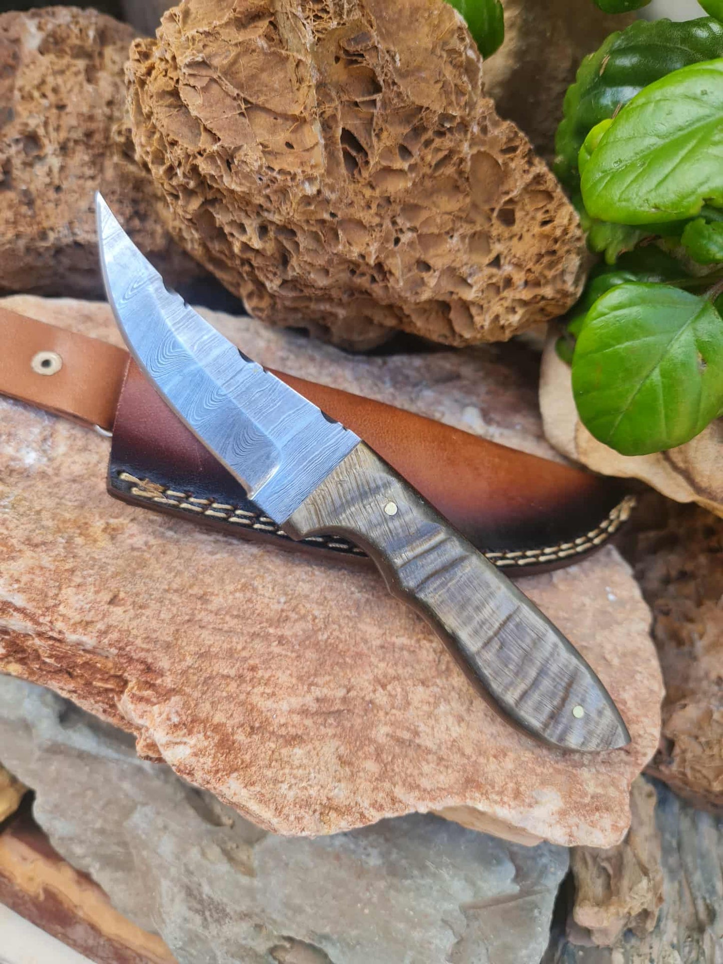 Handmade 21cm Hunting Knife with Damascus Steel & Ram Horn