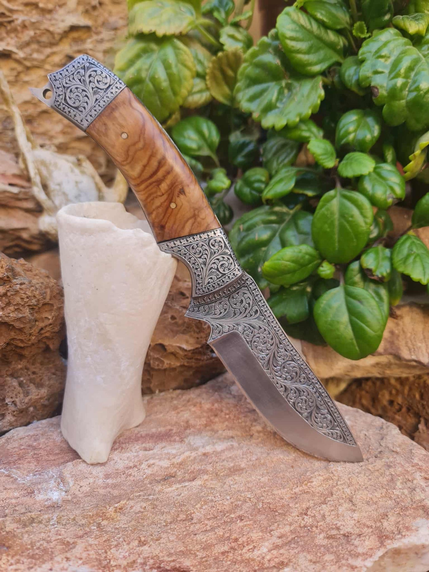 Handmade 25cm Exclusive Hunting Knife with Stainless Steel with Master Hand-Engraved & Olive wood
