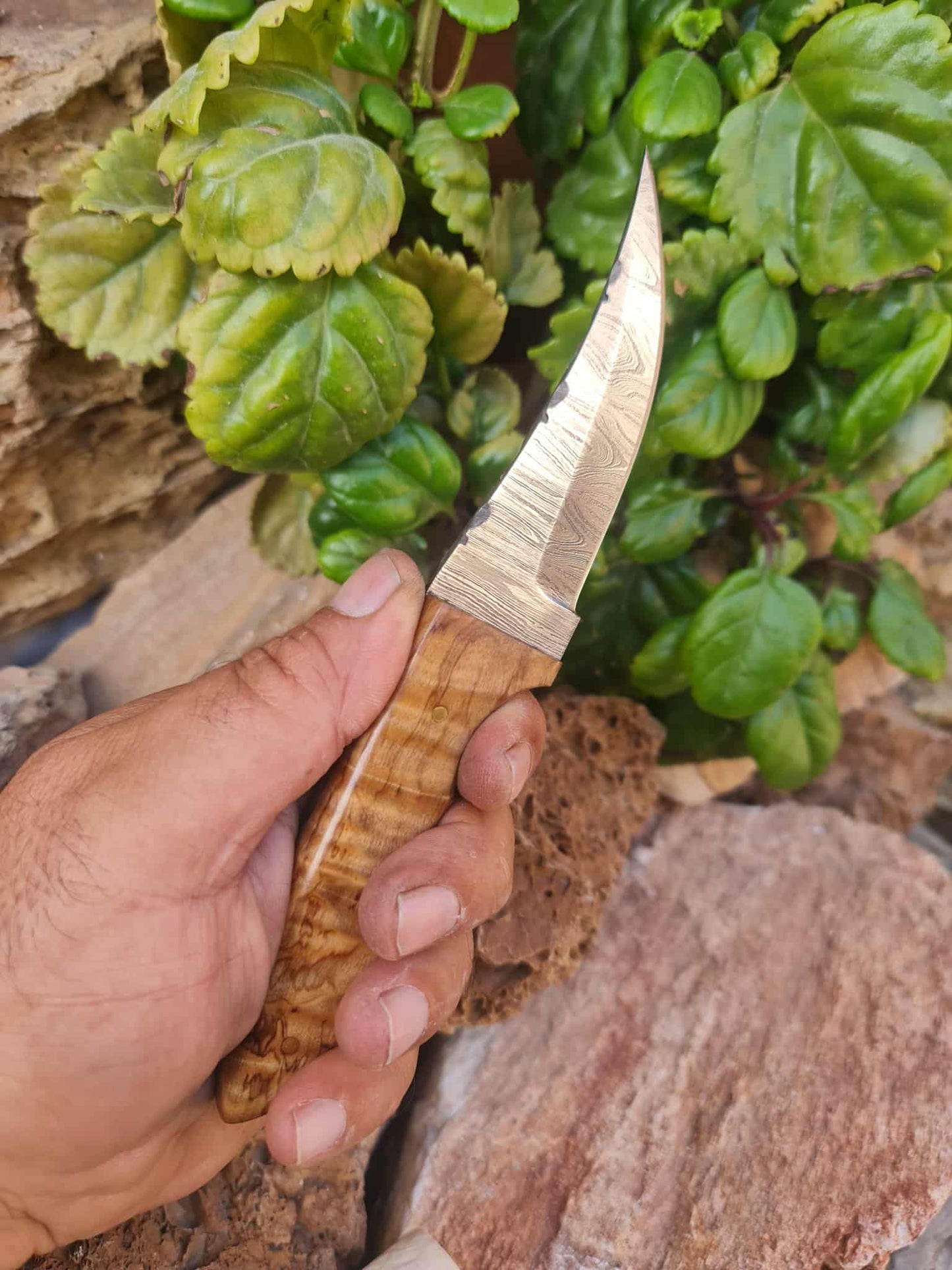 Handmade 21cm Hunting Knife with Damascus Steel & Olive wood