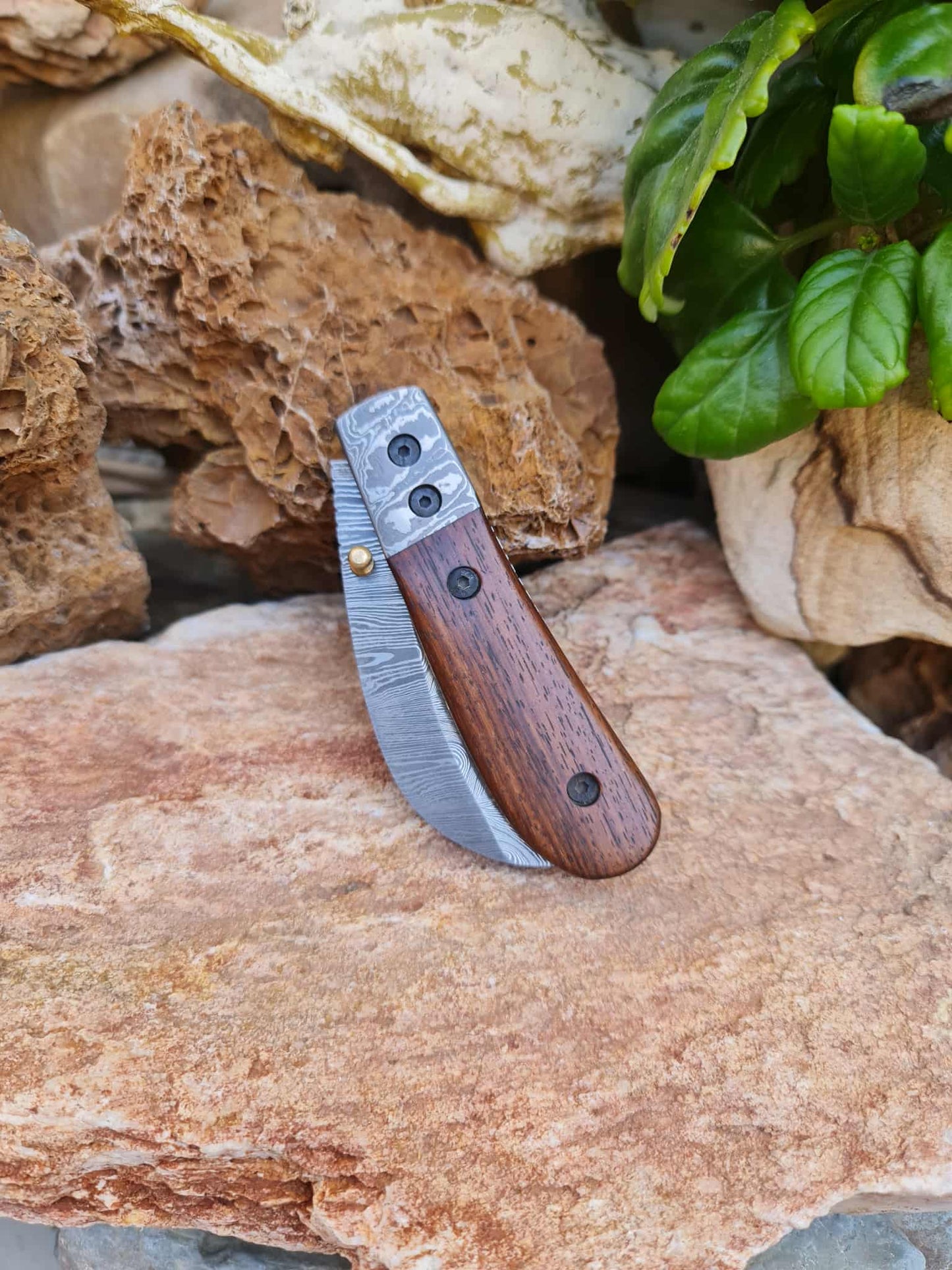 Handmade Hawkbill – 18cm Folding Knife with Damascus Steel & Walnut Wood