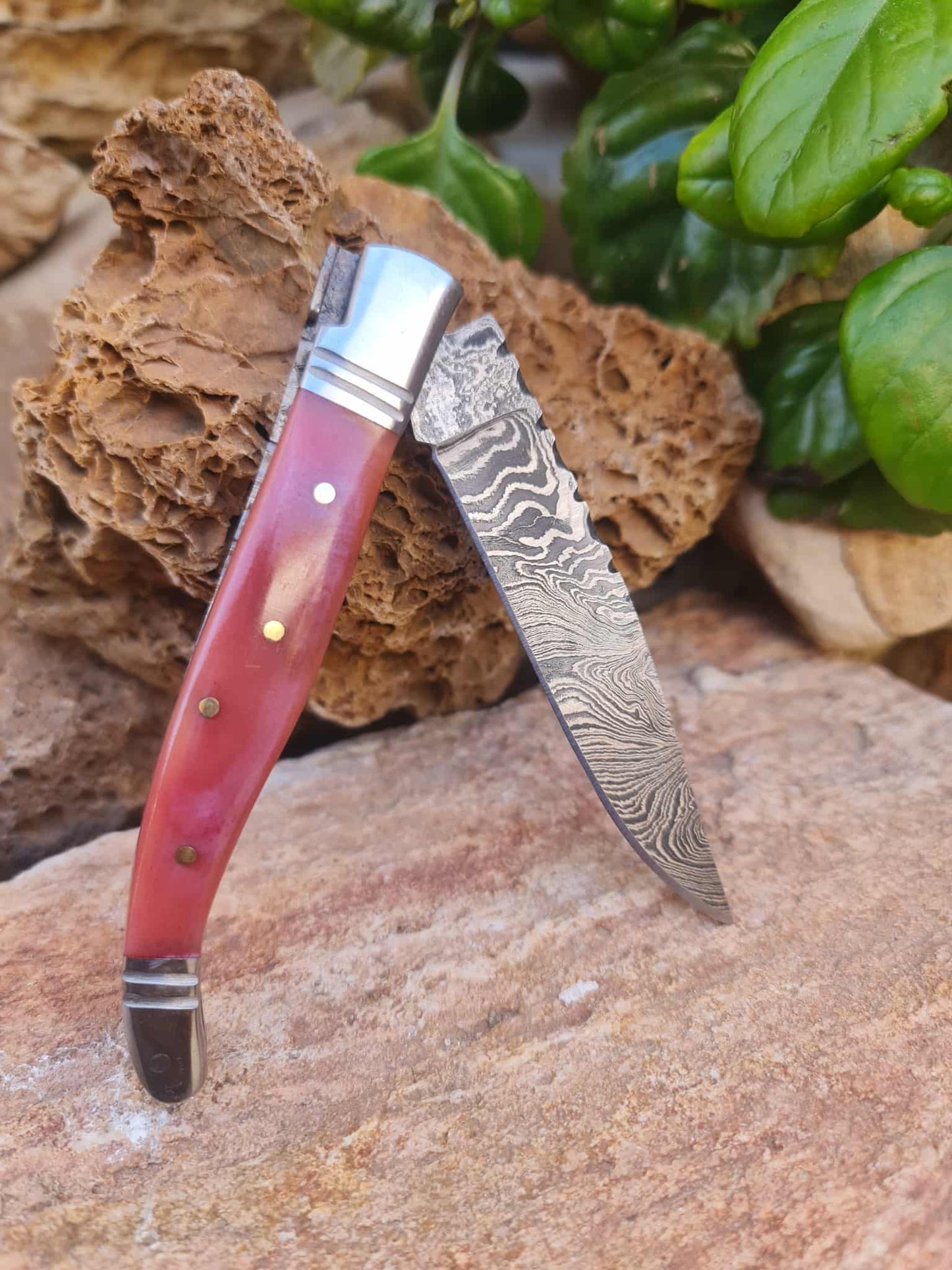 Handmade 22cm Laguiole Rustique with Damascus Steel - Stabilized Camel Bone with D2 Stainless Steel