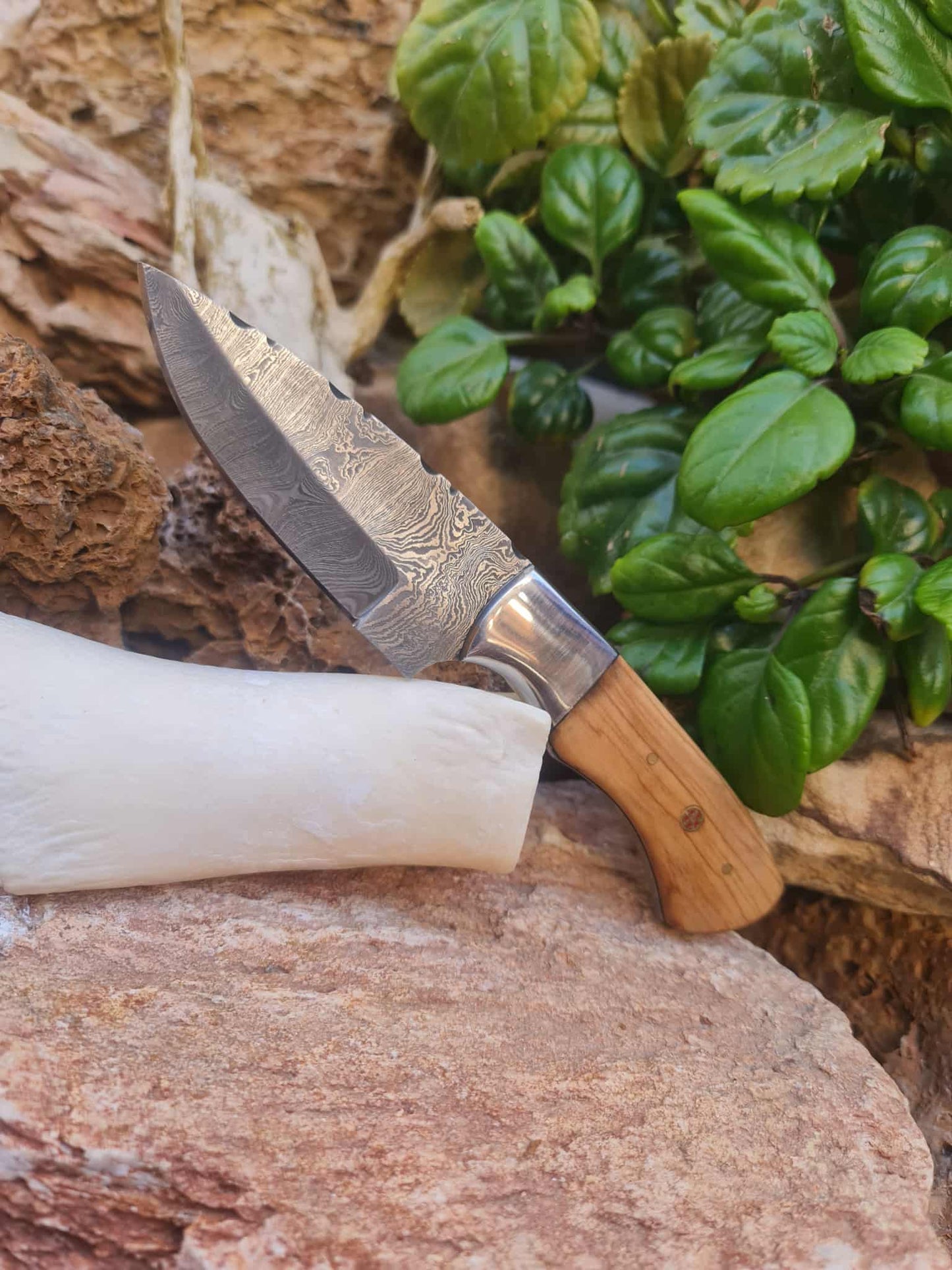 Handmade 20cm Skinner Knife with Damascus Steel - Olive wood & D2 Stainless Steel