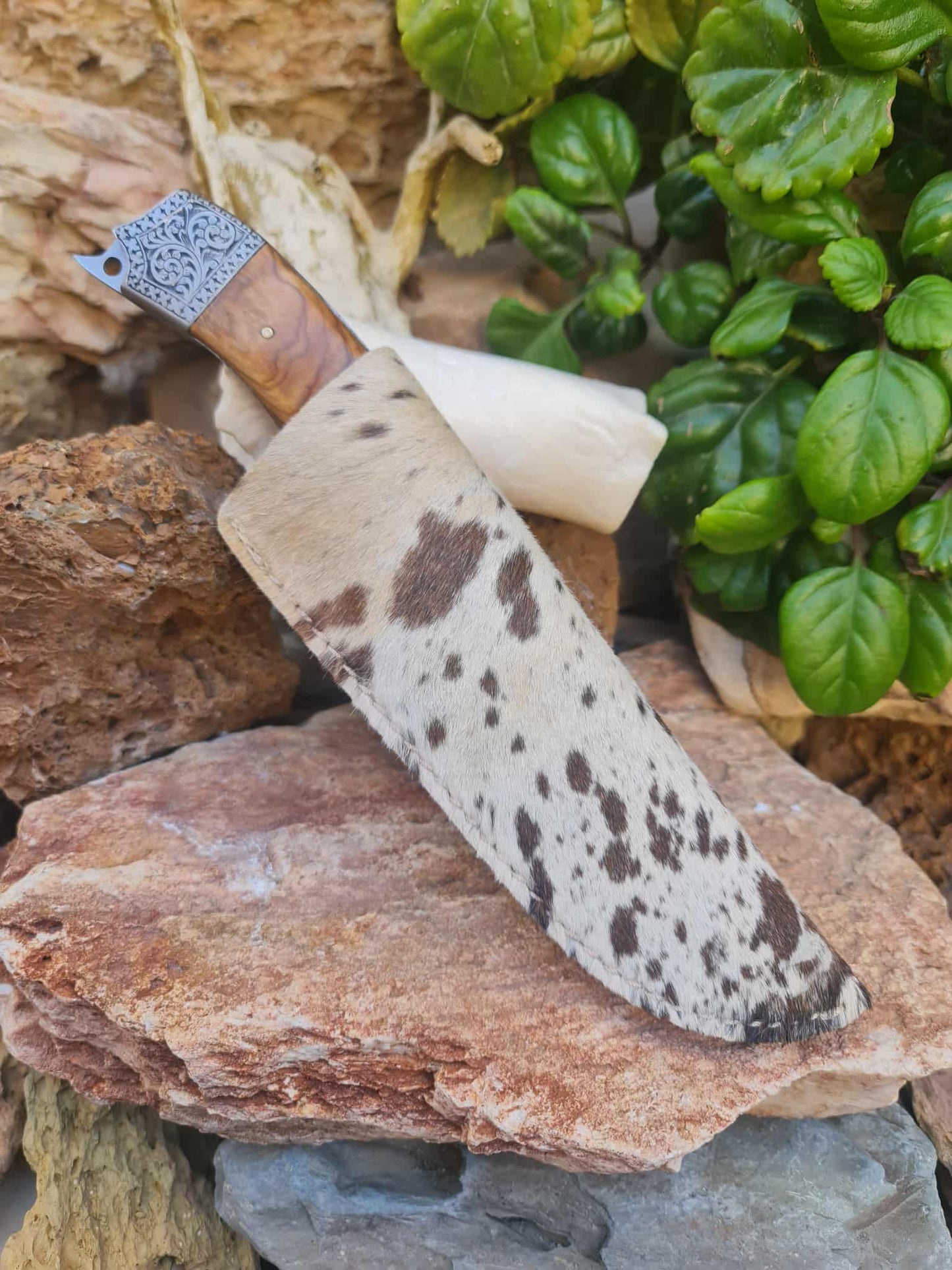 Handmade 25cm Exclusive Hunting Knife with Stainless Steel with Master Hand-Engraved & Olive wood