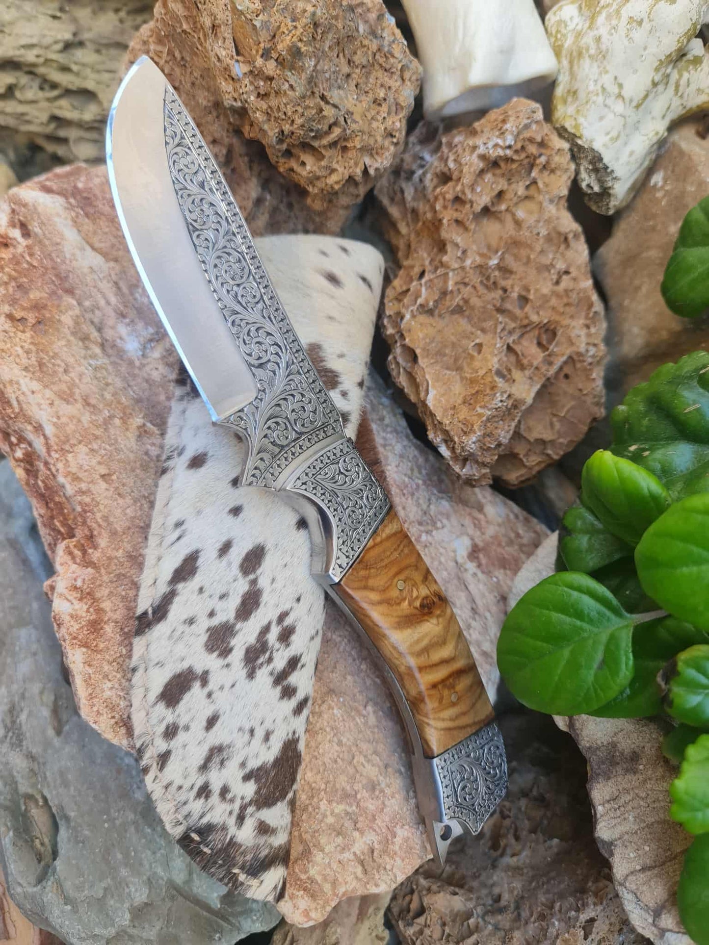 Handmade 25cm Exclusive Hunting Knife with Stainless Steel with Master Hand-Engraved & Olive wood