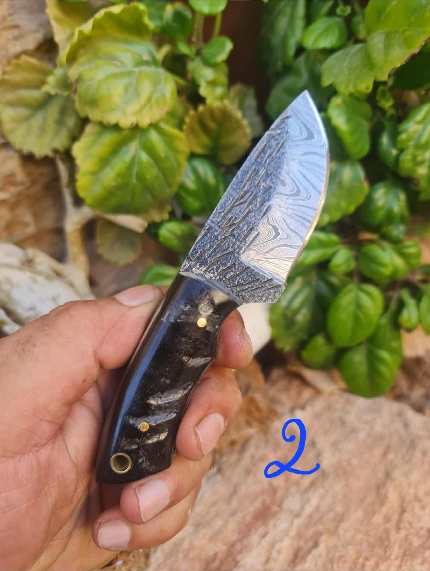 Handmade 15cm Mini Skinner Knife with Damascus Steel & Ram Horn