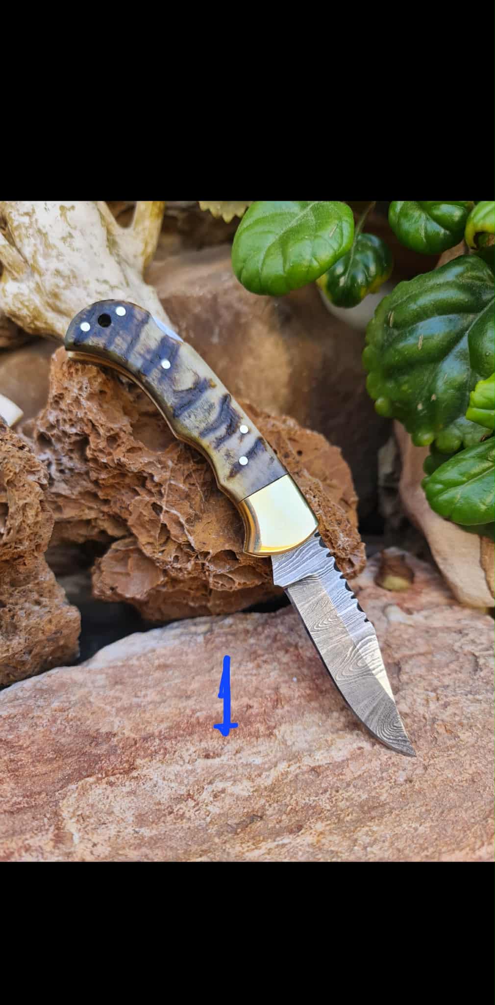 Handmade 17cm Pocket Knife with Damascus Steel - Ram Horn & Brass
