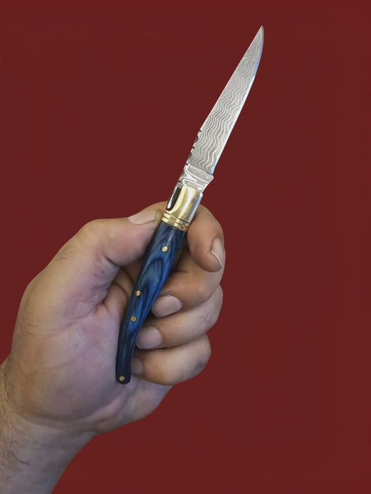 F079 - Laguiole Petit - Stainless Damascus & Wood
