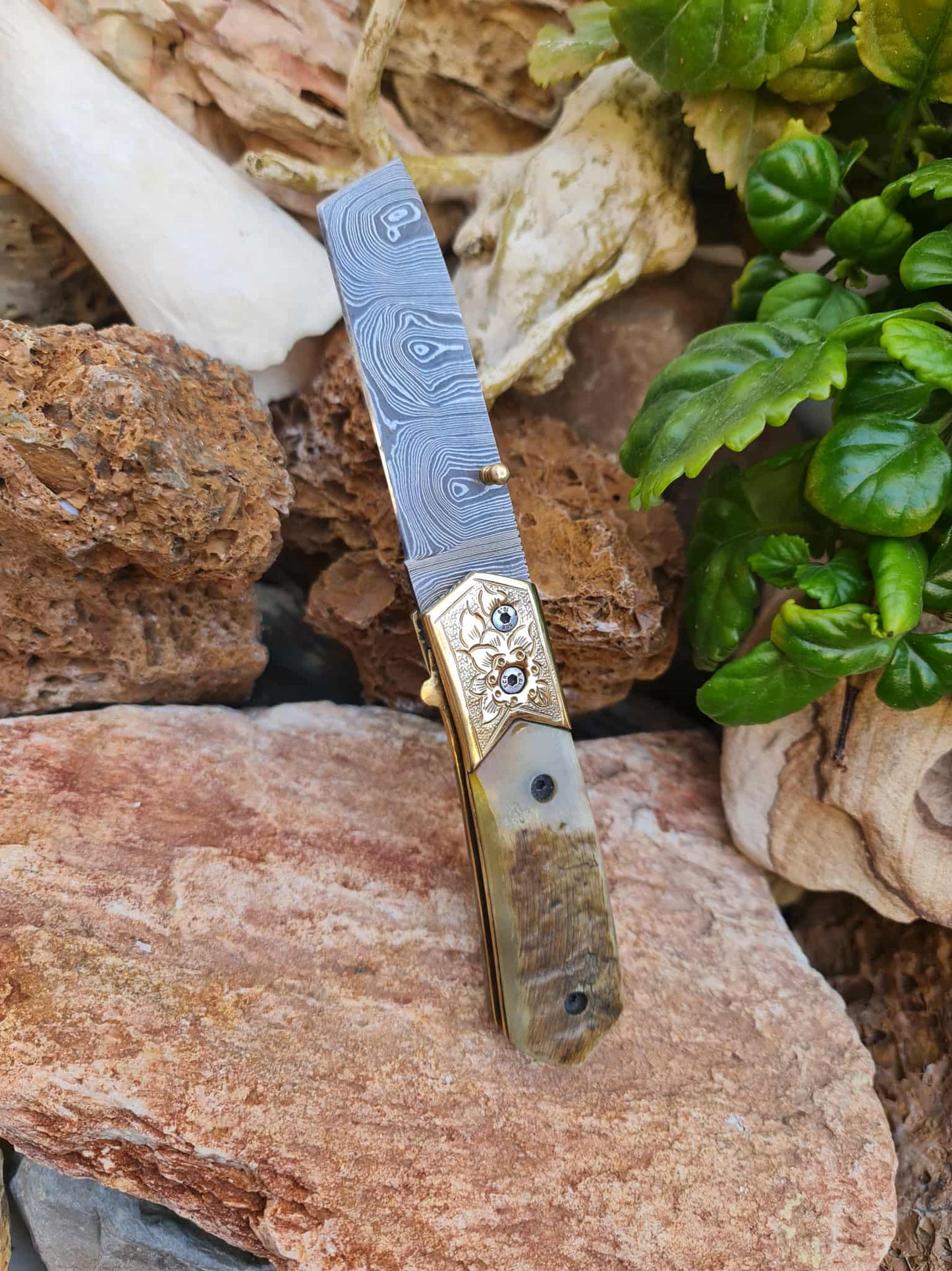 Handmade Limited Edition with Serial Number 20cm Knife with Damascus Steel - Cyprus Wild Mouflon Horn & Hand Engraved Brass (Exclusive Knife with Serial Number & Exclusive Gift Box)