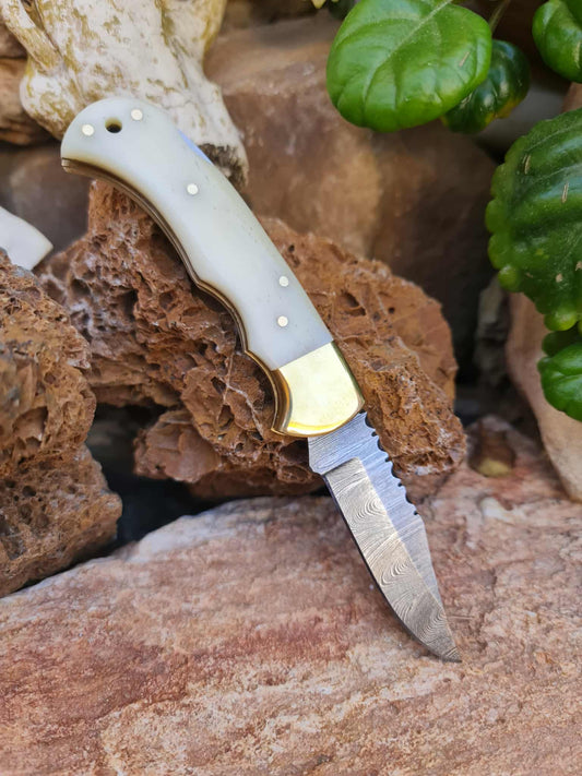 Handmade 17cm Pocket Knife with Damascus Steel - Camel Bone & Brass