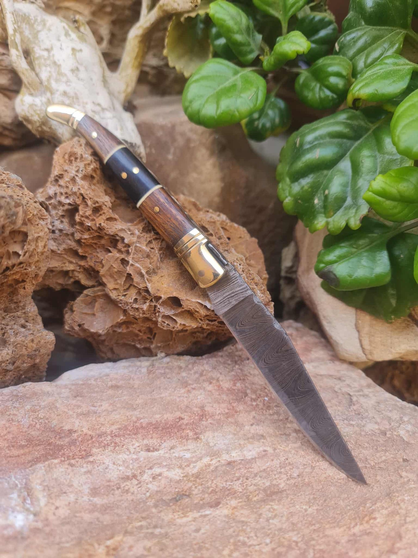 Handmade 22cm Laguiole Classique with Damascus Steel - Walnut wood - Buffalo Horn & Brass