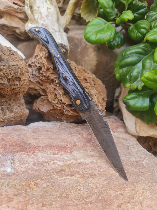 Handmade 22cm Laguiole with Damascus Steel & Stabilized wood