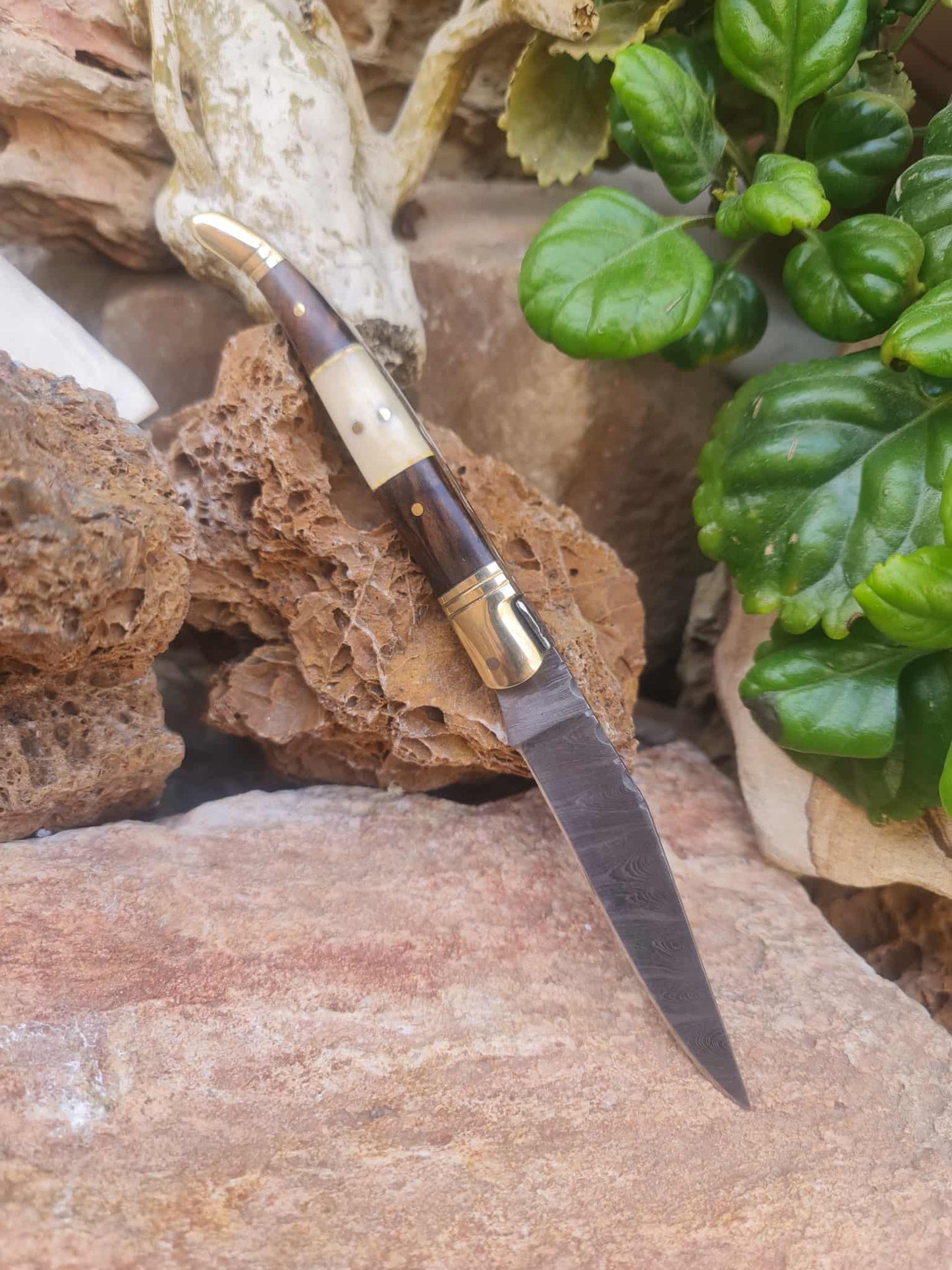 Handmade 22cm Laguiole Classique with Damascus Steel - Rosewood - Camel Bone & Brass