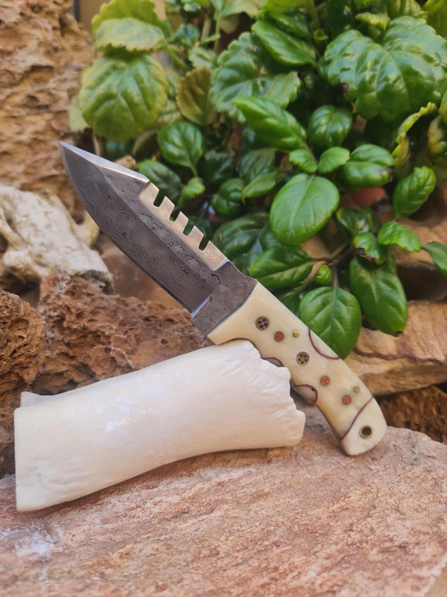 Handmade 20cm Hunting Knife with Raindrop Damascus Steel & Camel Bone