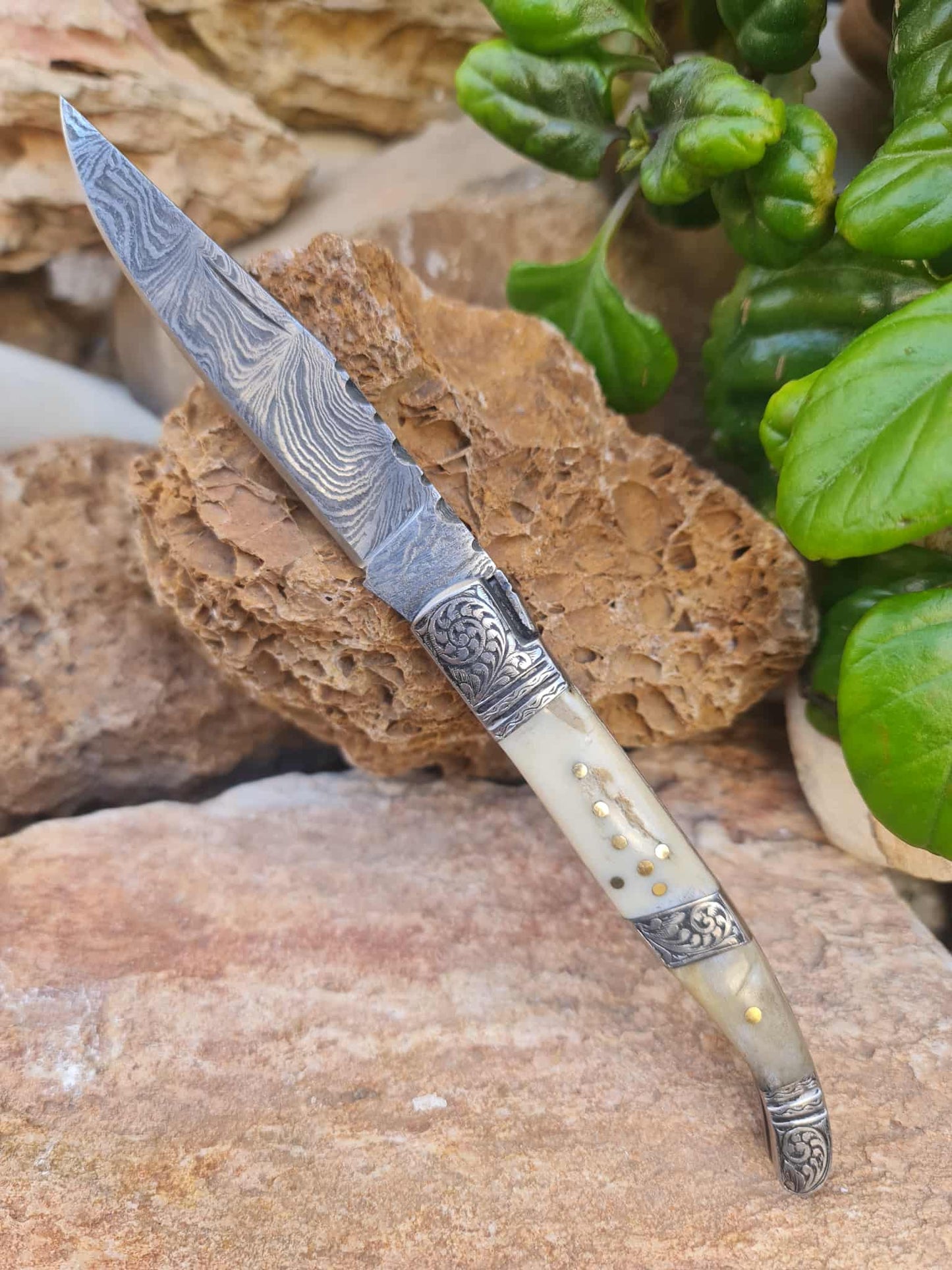 Handmade 22cm Laguiole Rustique with Damascus Steel - Red Deer antler & 420 Stainless Steel with Master Hand-Engraved