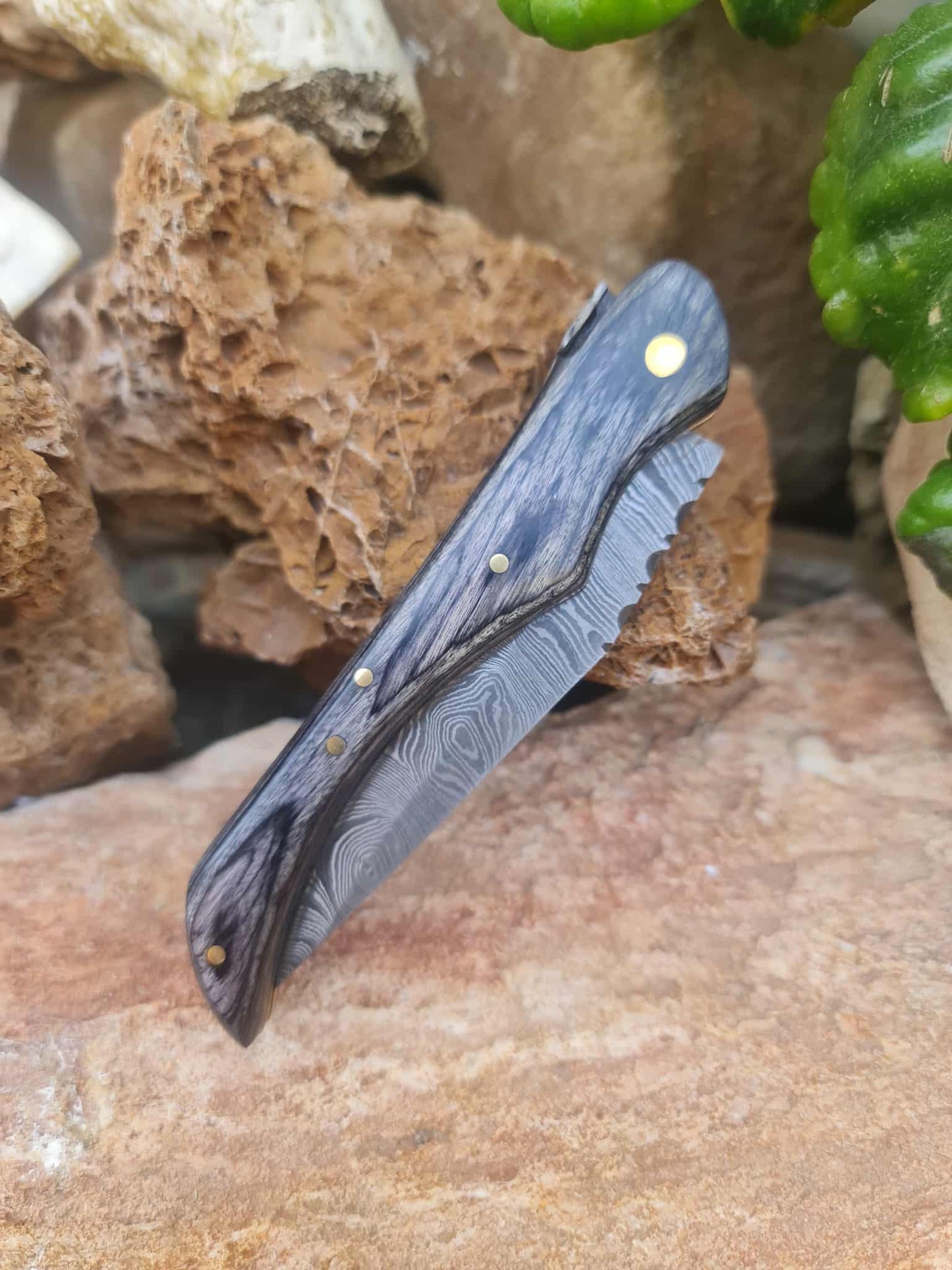 Handmade 22cm Laguiole with Damascus Steel & Stabilized wood
