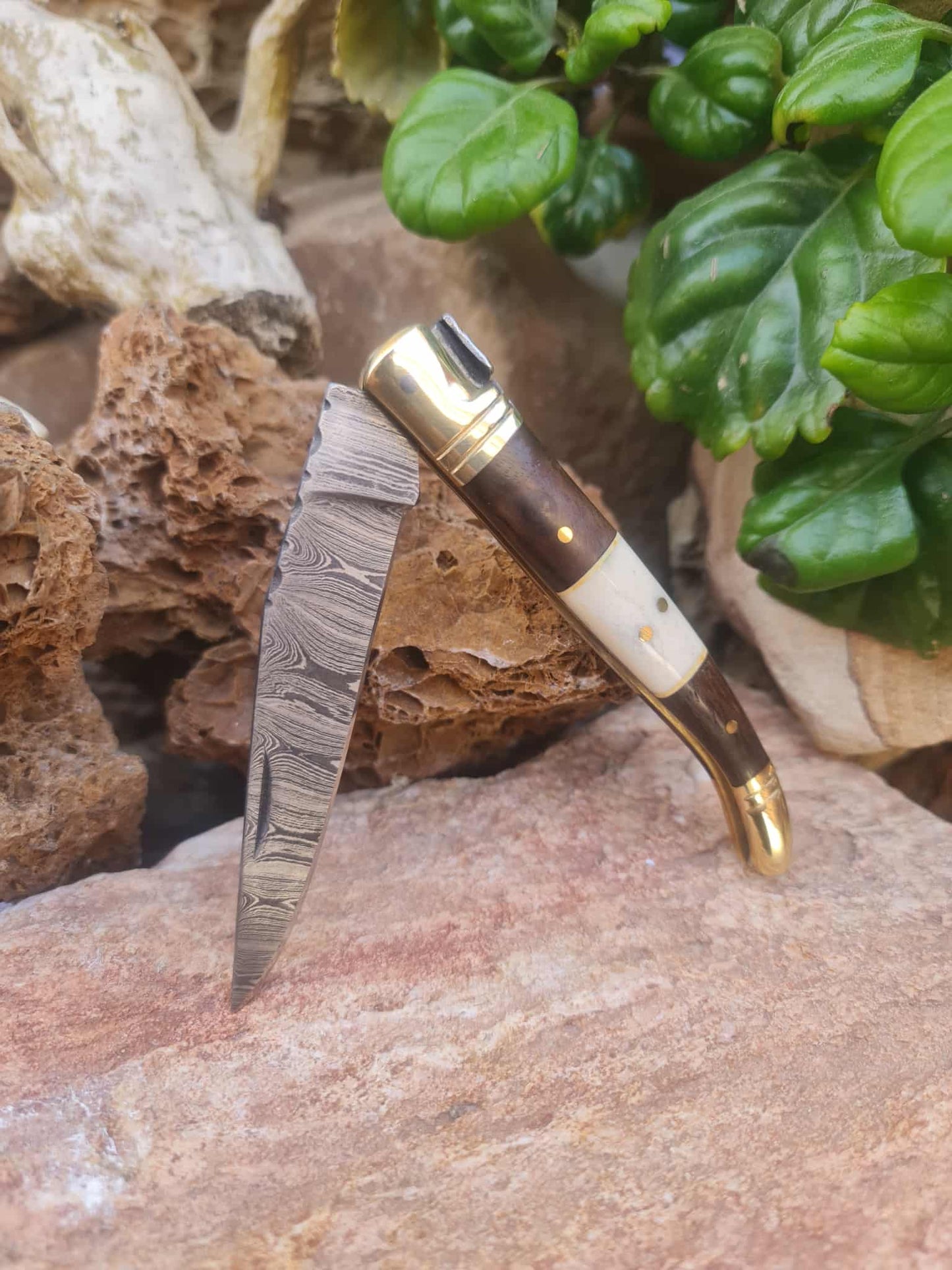 Handmade 22cm Laguiole Classique with Damascus Steel - Rosewood - Camel Bone & Brass