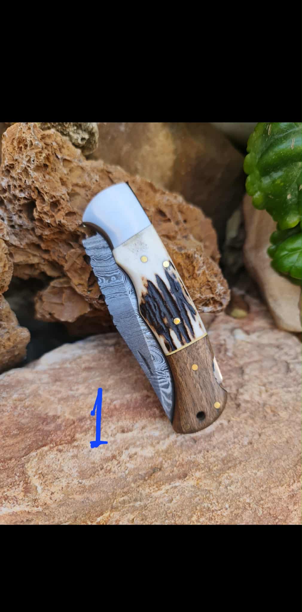 Handmade 19cm Pocket Knife with Damascus Steel - Red deer antler - Walnut wood & D2 Stainless Steel