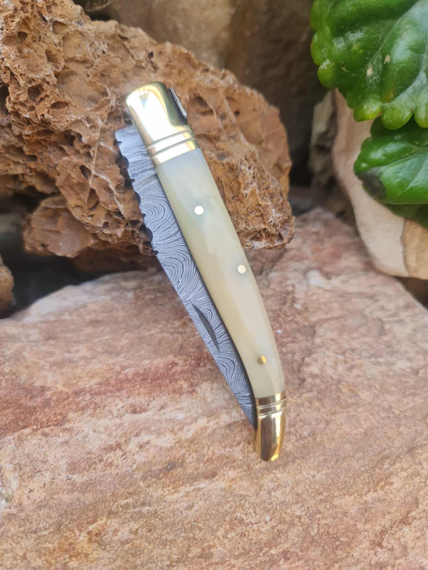 Handmade 22cm Laguiole Classique with Damascus Steel - Camel Bone & Brass