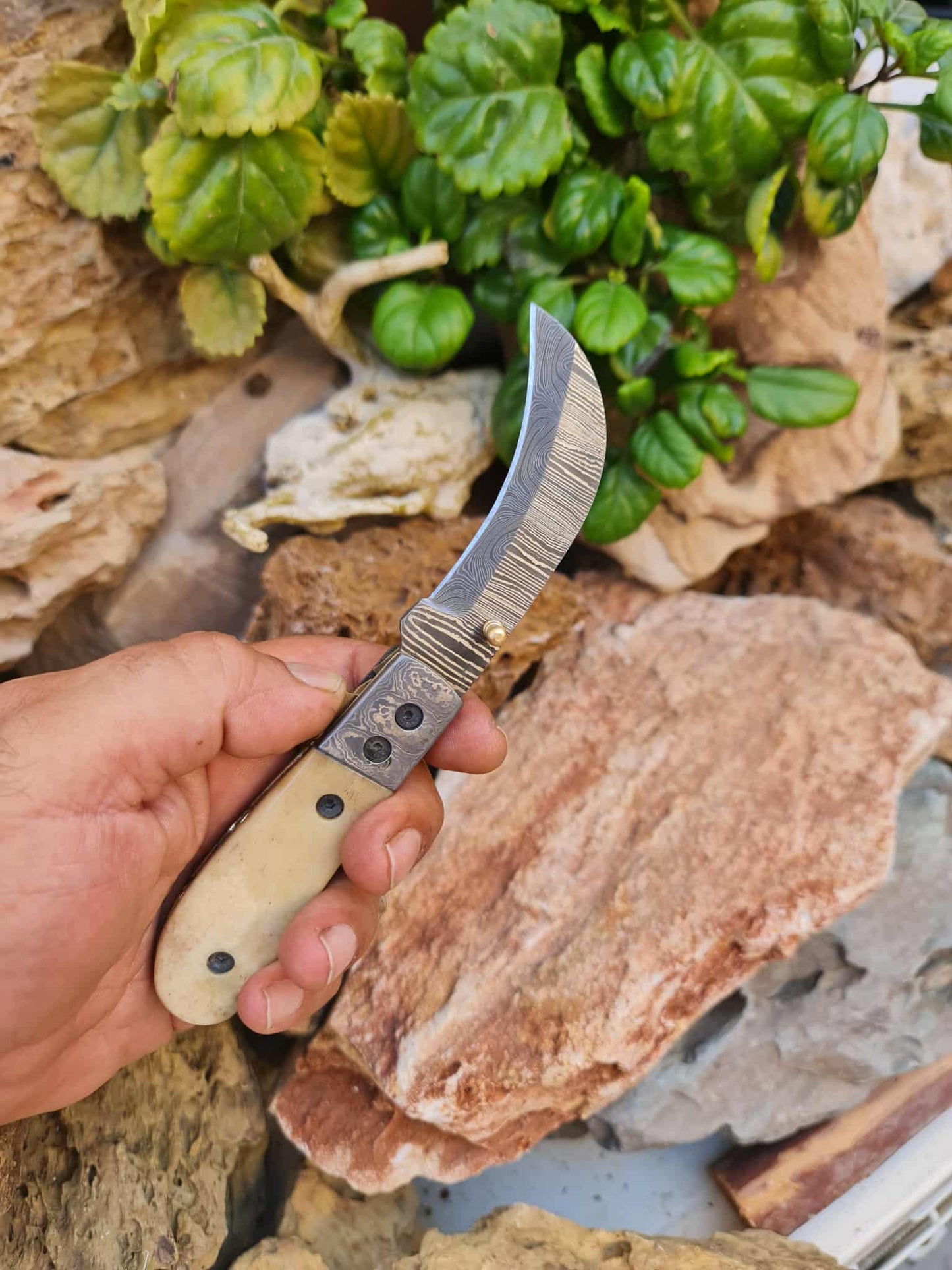 Handmade Hawkbill – 18cm Folding Knife with Damascus Steel & Camel Bone