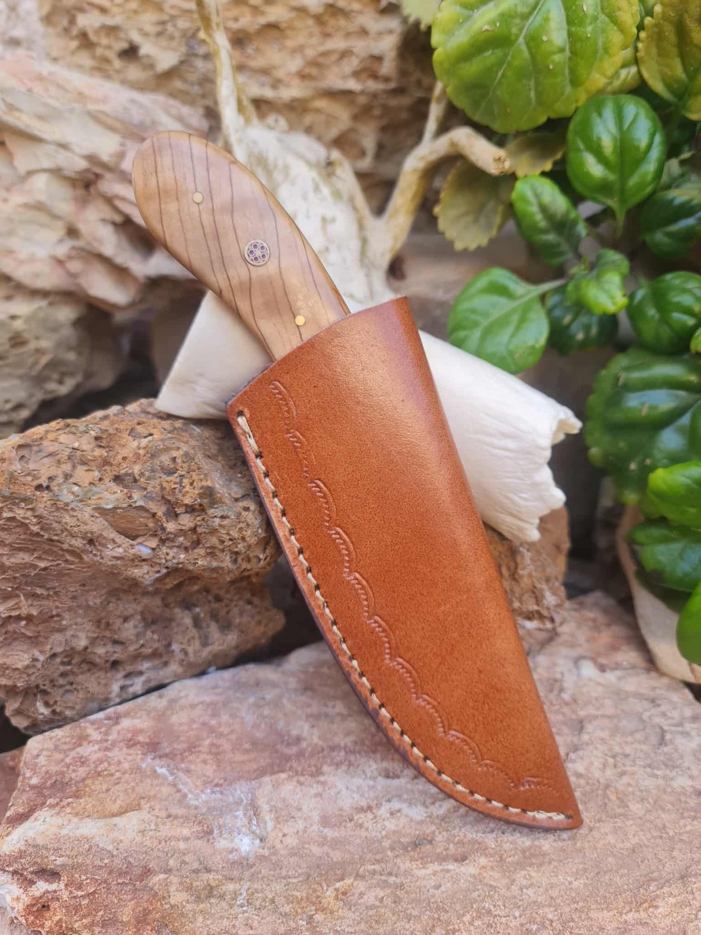 Handmade 22cm Skinner Knife with Damascus Steel - Olive wood & D2 Stainless Steel