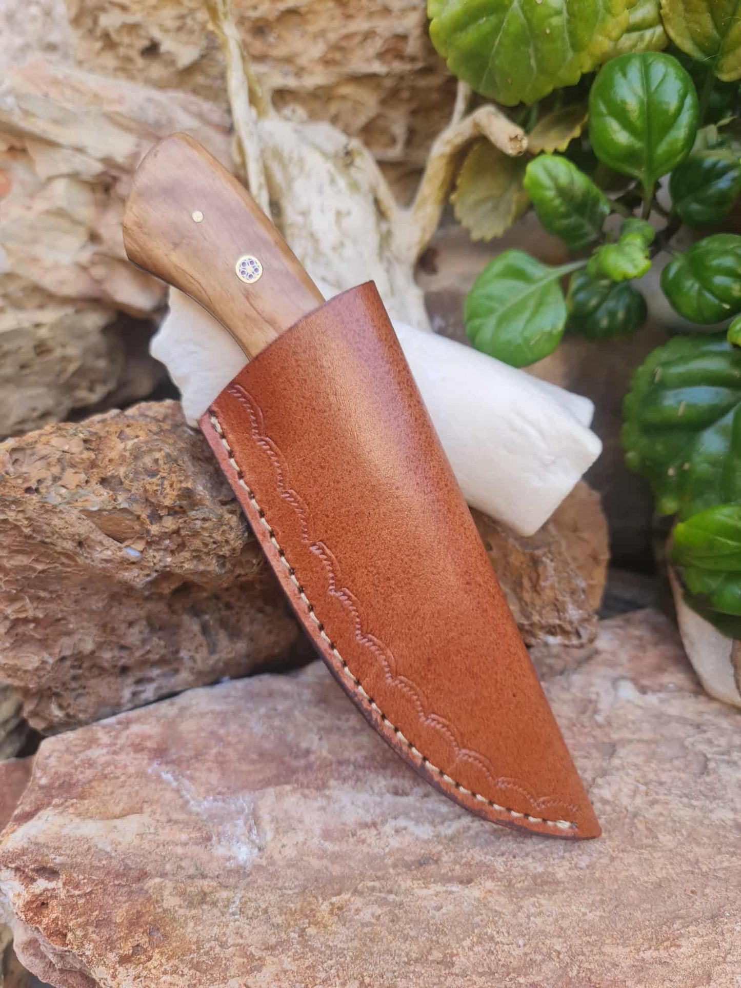 Handmade 20cm Skinner Knife with Damascus Steel - Olive wood & D2 Stainless Steel