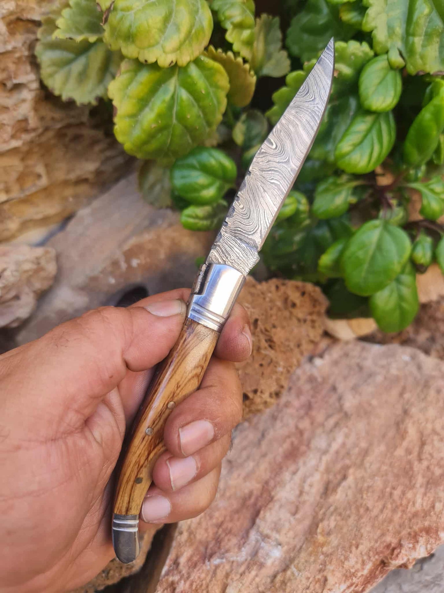 Handmade 22cm Laguiole Rustique with Damascus Steel - Olivewood with D2 Stainless Steel