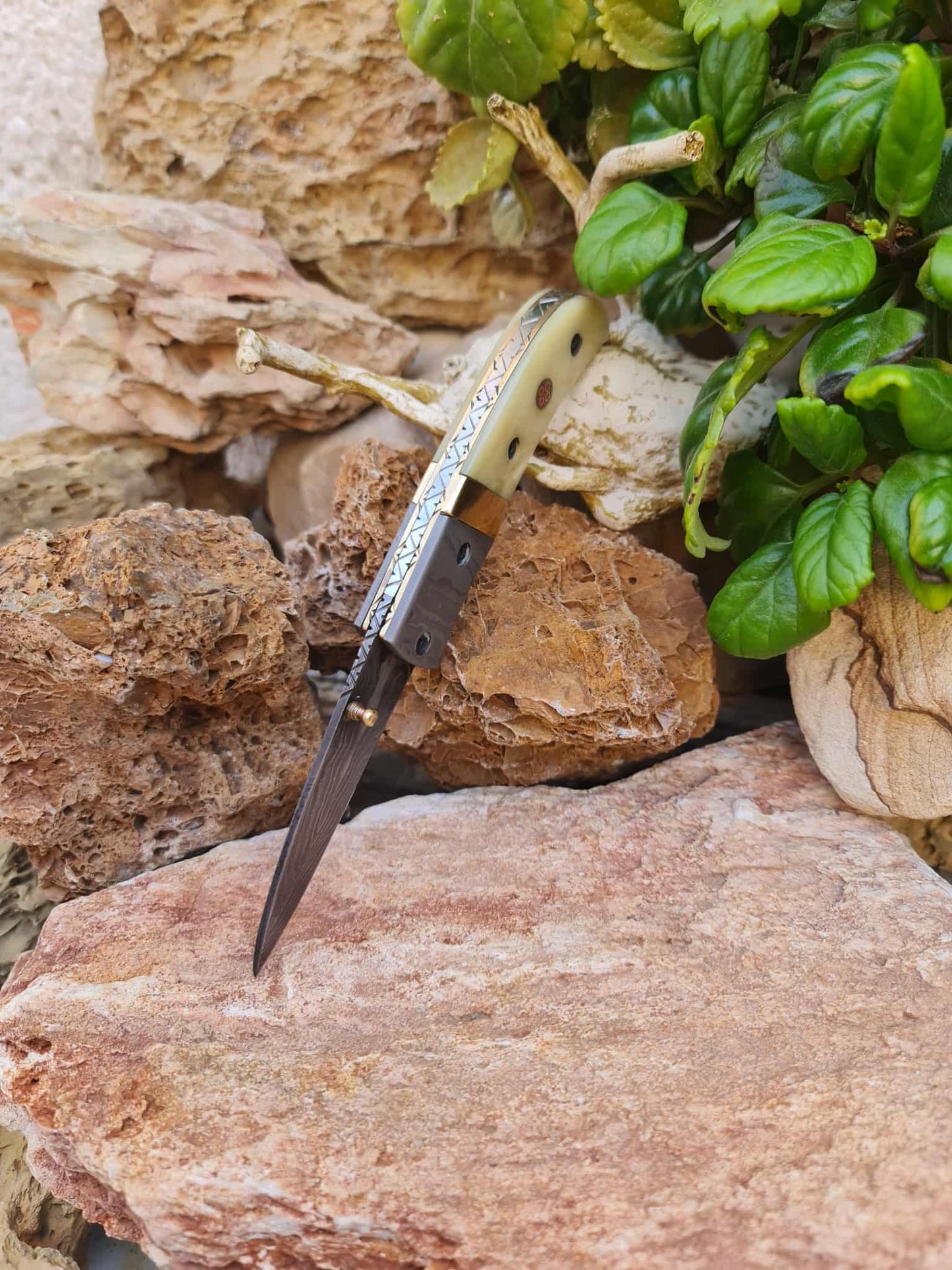 Handmade Classic Elegance – 20cm Folding Knife with Damascus Steel - Camel Bone & Brass
