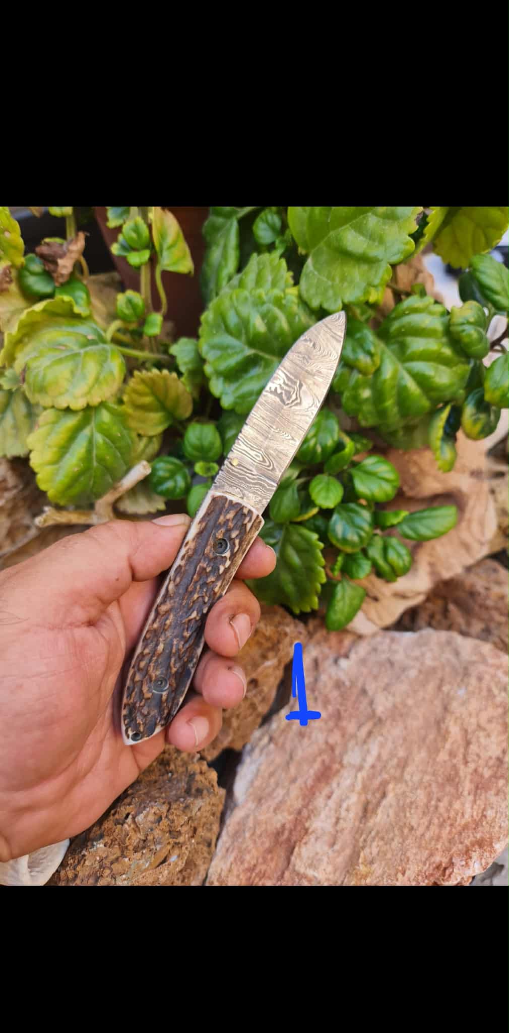 Handmade Classic Elegance – 19cm Folding Knife with Damascus Steel & Red Deer antler
