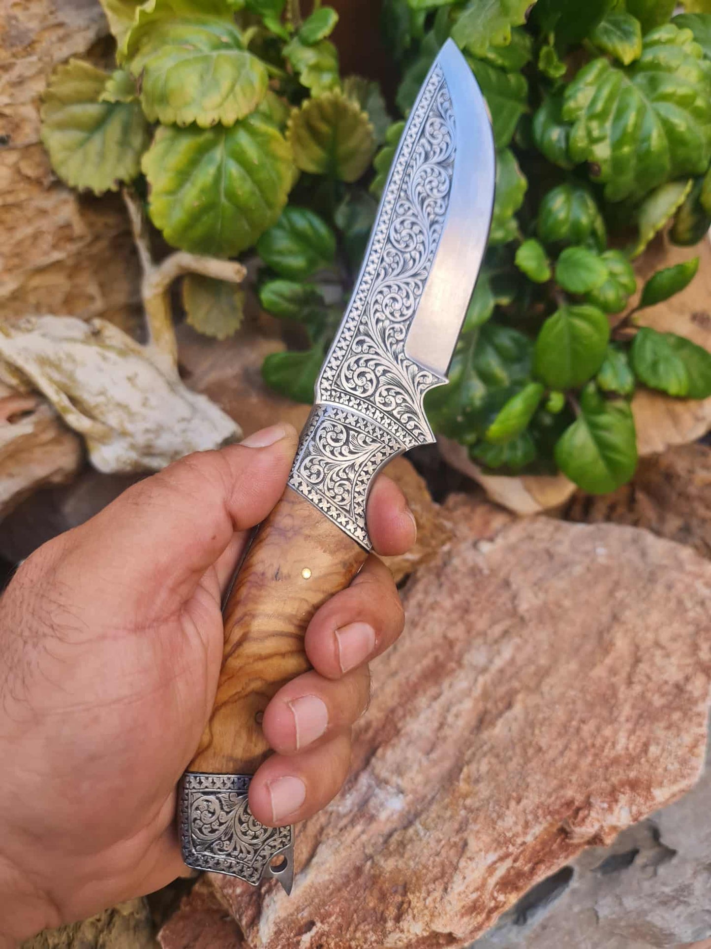 Handmade 25cm Exclusive Hunting Knife with Stainless Steel with Master Hand-Engraved & Olive wood