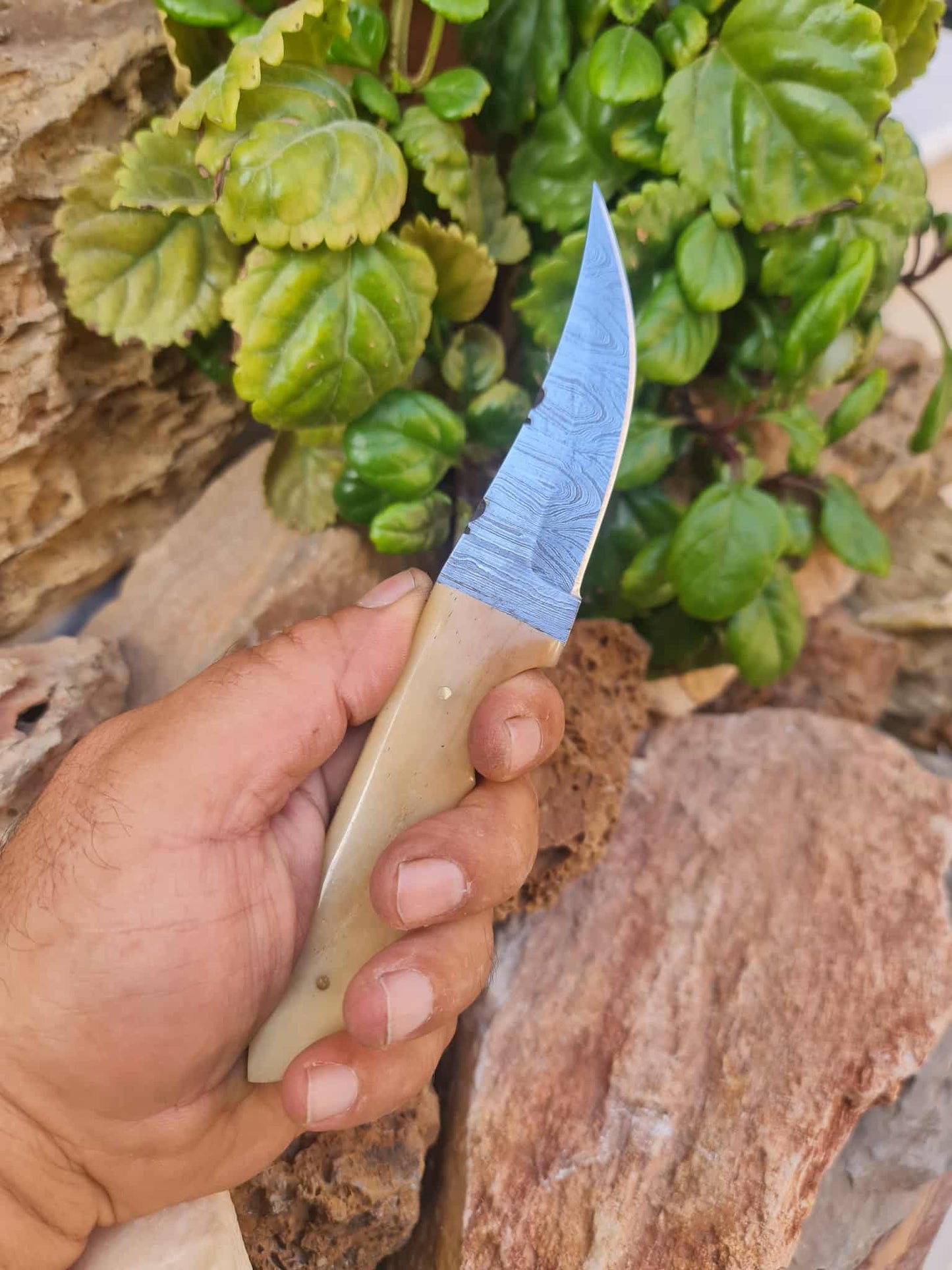 Handmade 21cm Hunting Knife with Damascus Steel & Camel bone