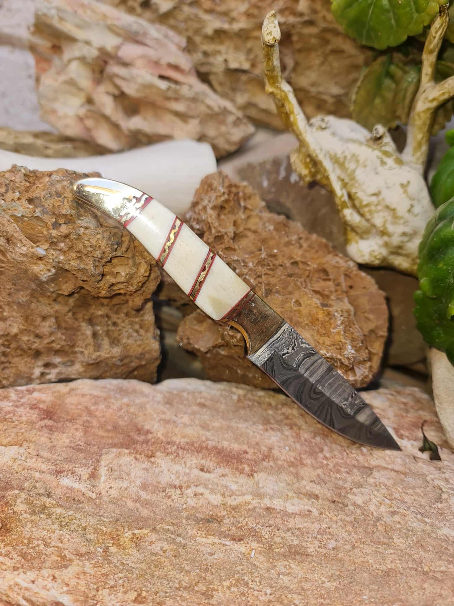 Handmade 18cm Mini Hunting Knife with Damascus Steel - Buffalo Horn - Camel Bone & Brass
