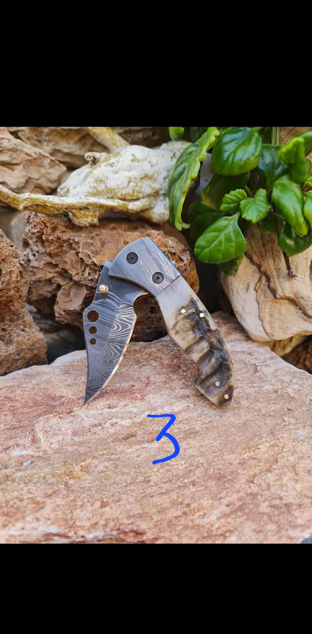 Handmade Limited Edition with Serial Number 18cm Knife with Damascus Steel & Asian Mouflon Horn (Exclusive Knife with Serial Number)