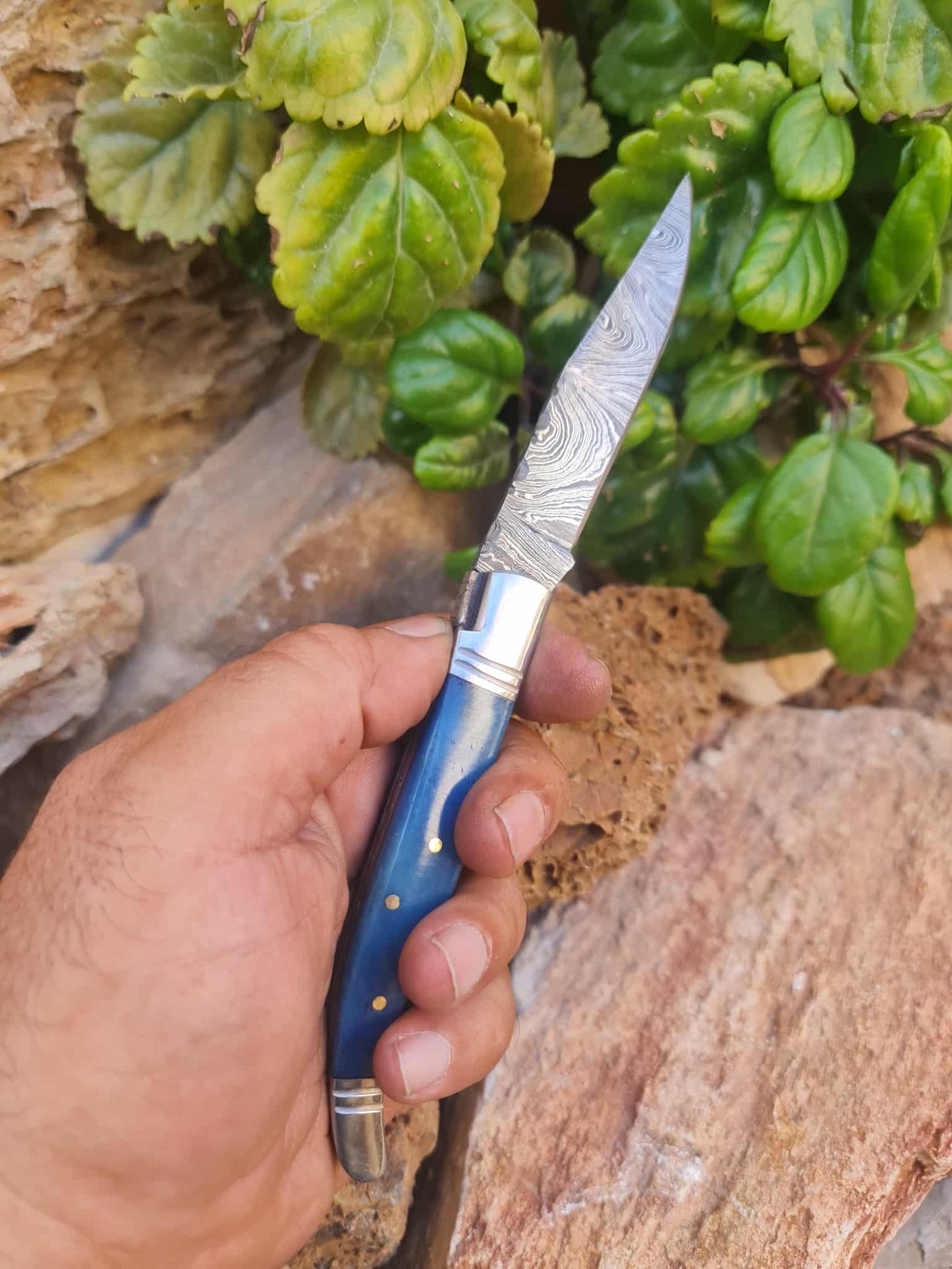 Handmade 22cm Laguiole Rustique with Damascus Steel - Stabilized Camel Bone with D2 Stainless Steel