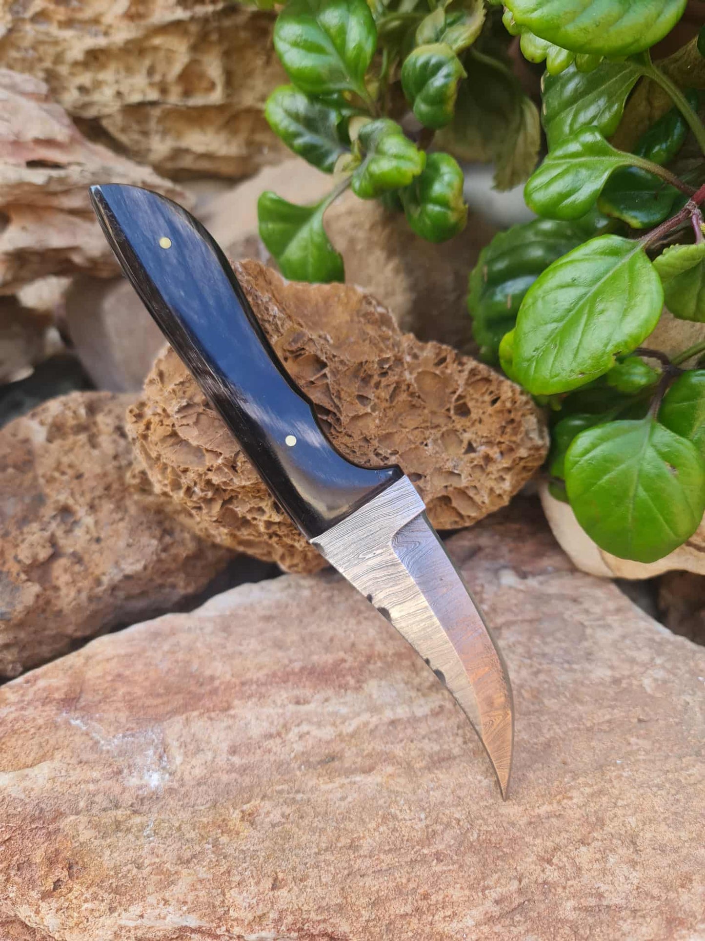 Handmade 21cm Hunting Knife with Damascus Steel & Buffalo Horn