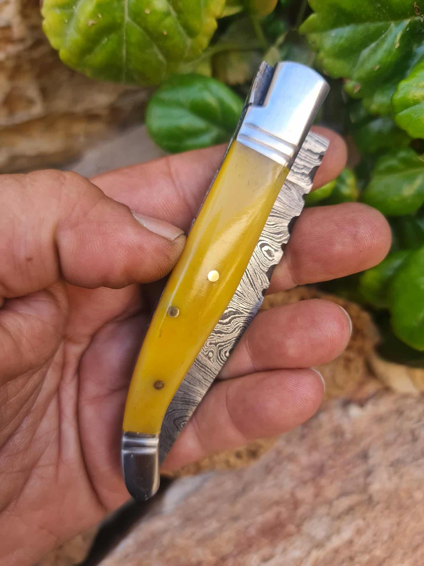 Handmade 22cm Laguiole Rustique with Damascus Steel - Stabilized Camel Bone with D2 Stainless Steel