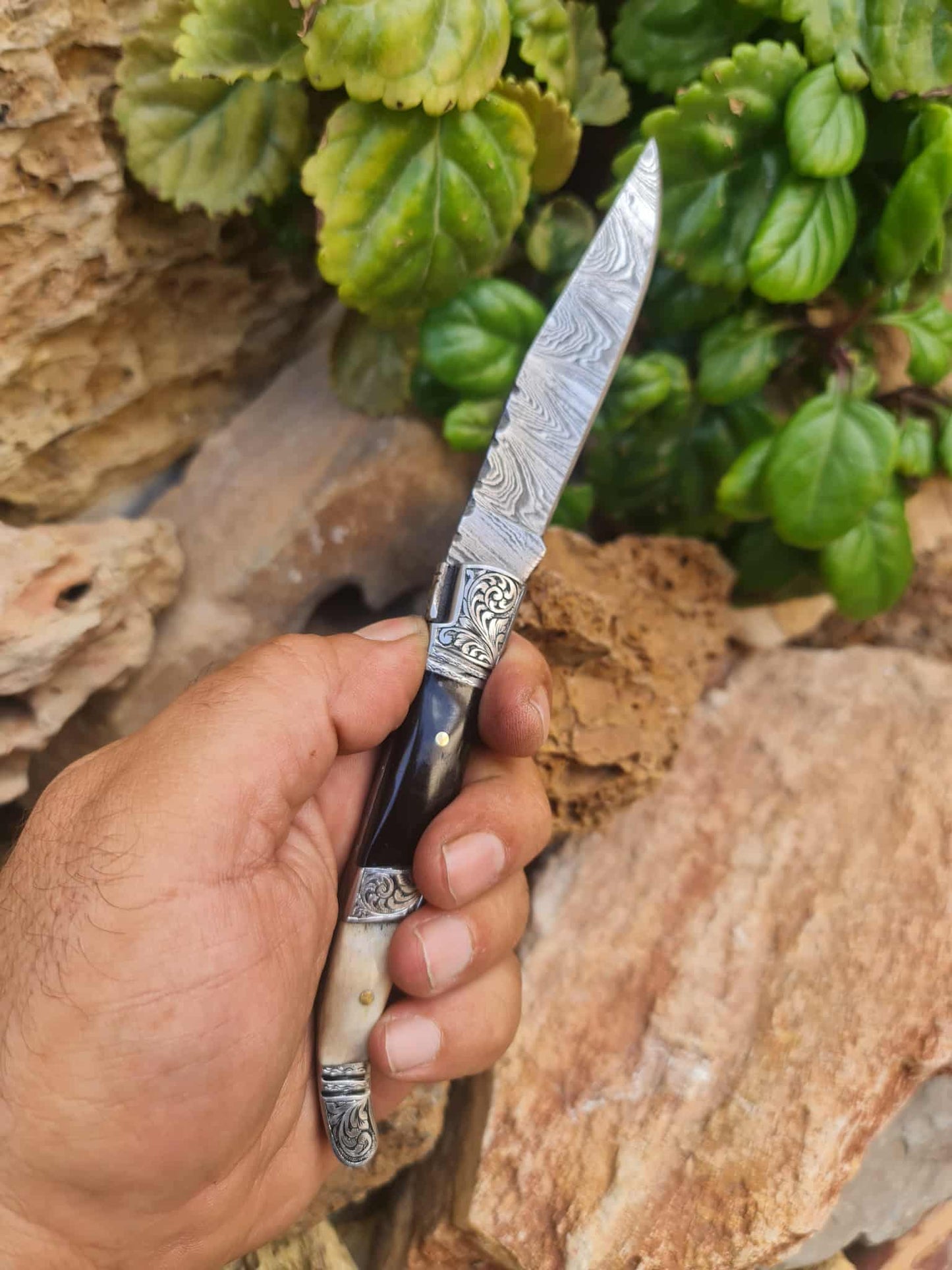 Handmade 22cm Laguiole Rustique with Damascus Steel -  Buffalo Horn - Red Deer antler & 420 Stainless Steel with Master Hand-Engraved