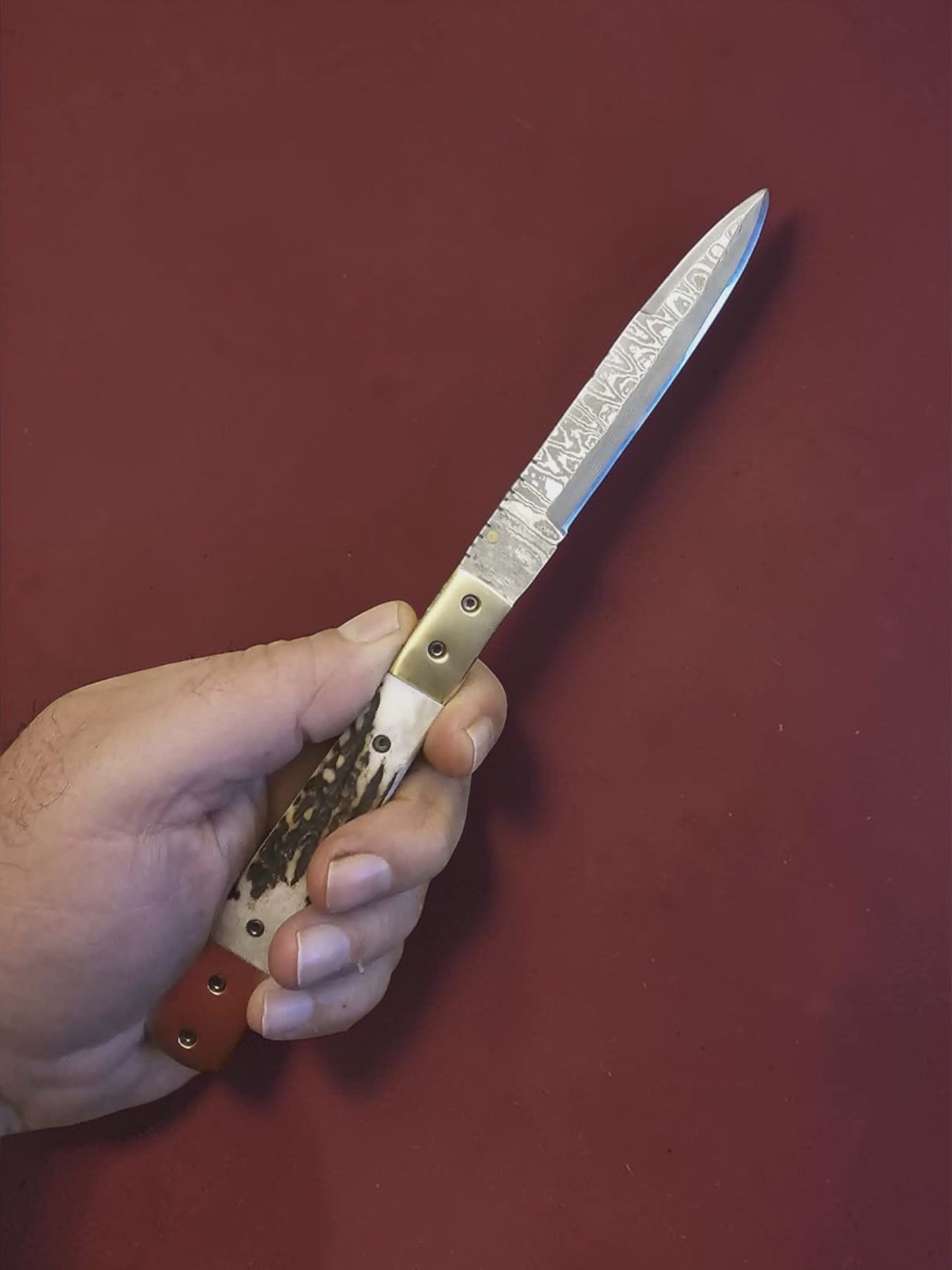 F087 Stiletto - Stainless Damascus & Horn