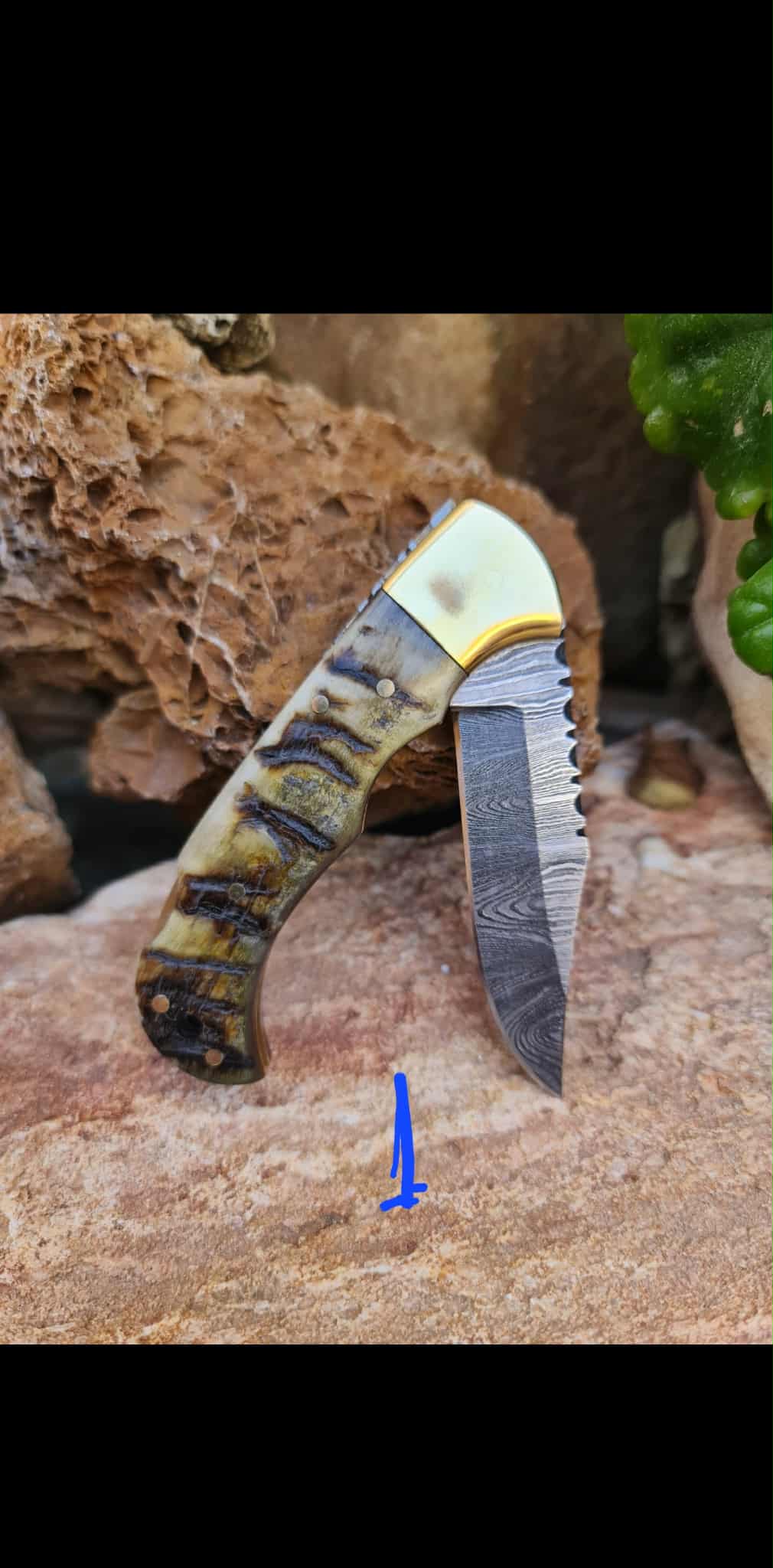 Handmade 17cm Pocket Knife with Damascus Steel - Ram Horn & Brass