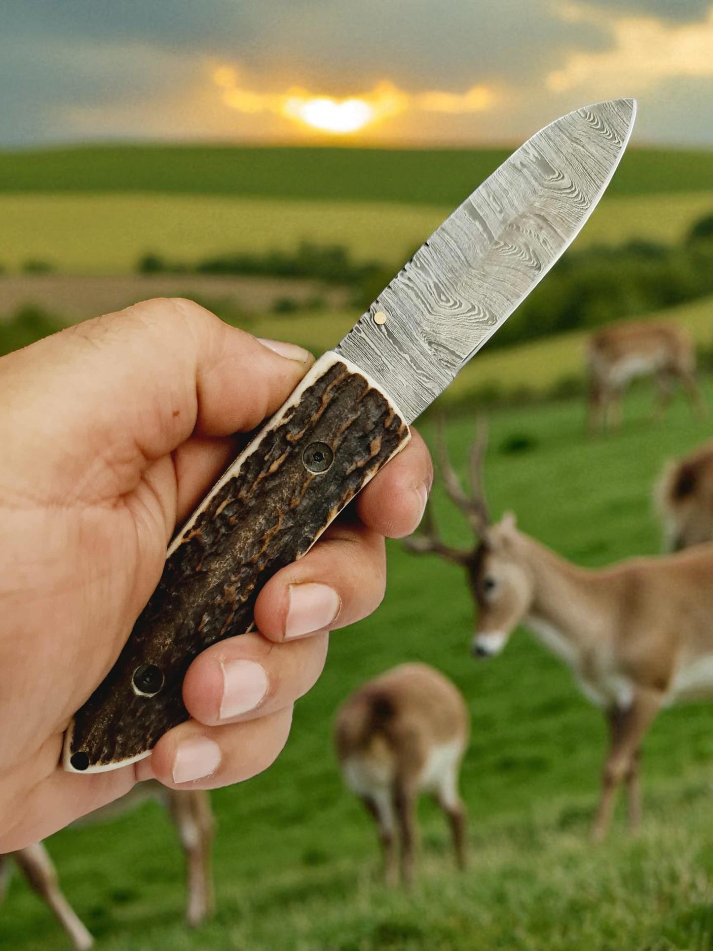 S108 Handmade Stalwart EDC - Damascus Steel & Red Deer Horn