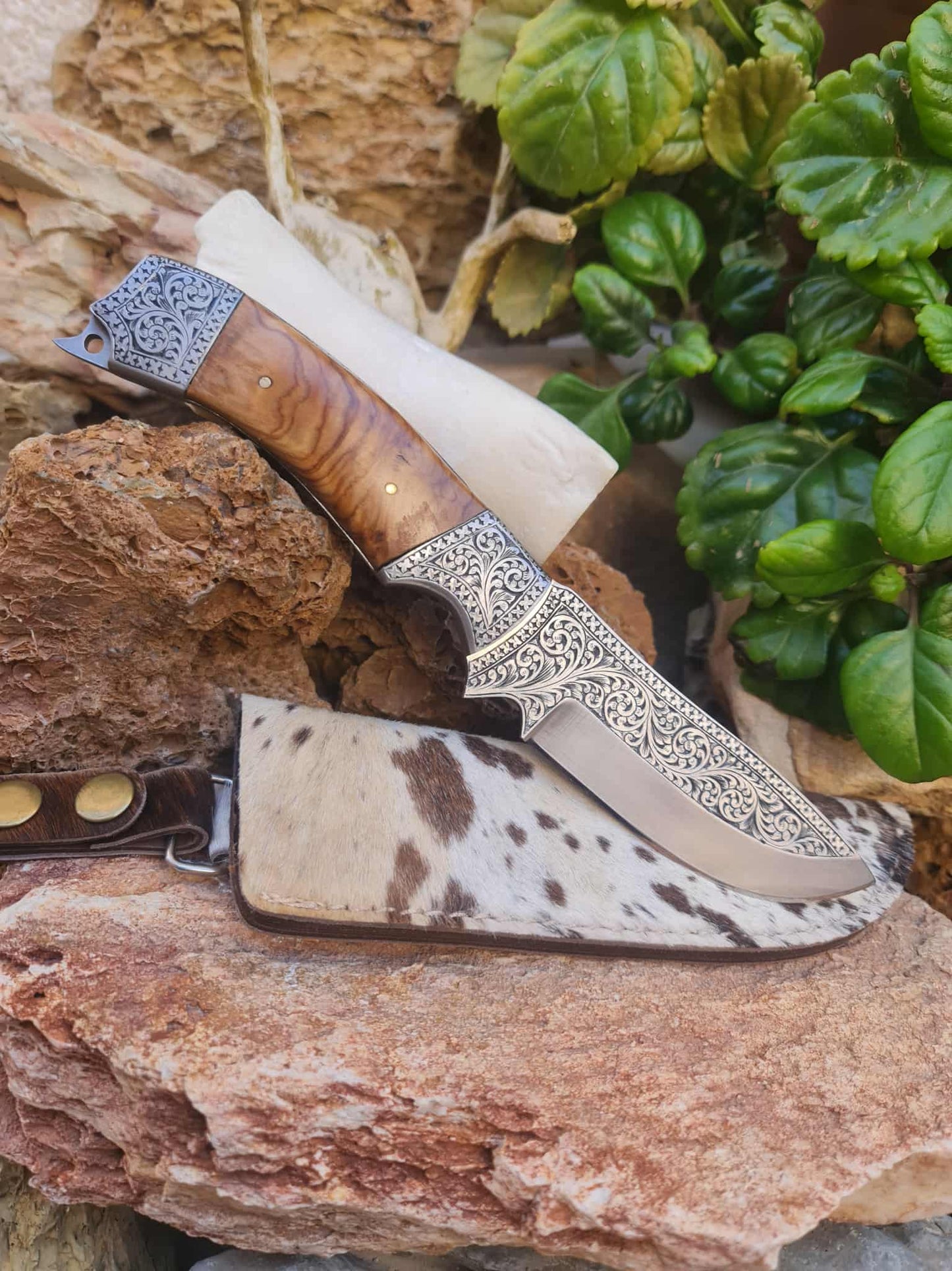 Handmade 25cm Exclusive Hunting Knife with Stainless Steel with Master Hand-Engraved & Olive wood