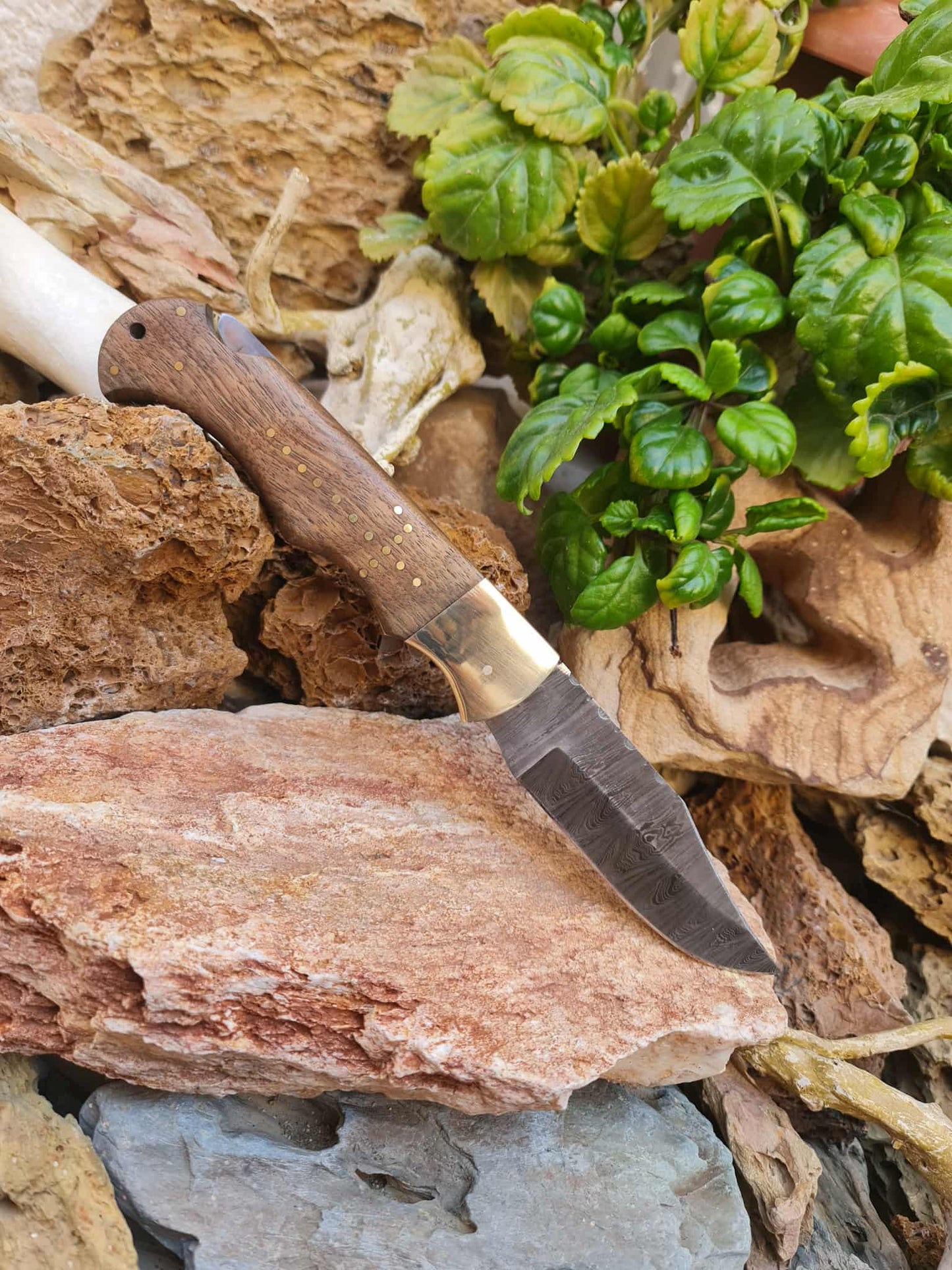 Handmade Tactical – 30cm Folding Knife with Damascus Steel - Walnut Wood & Brass
